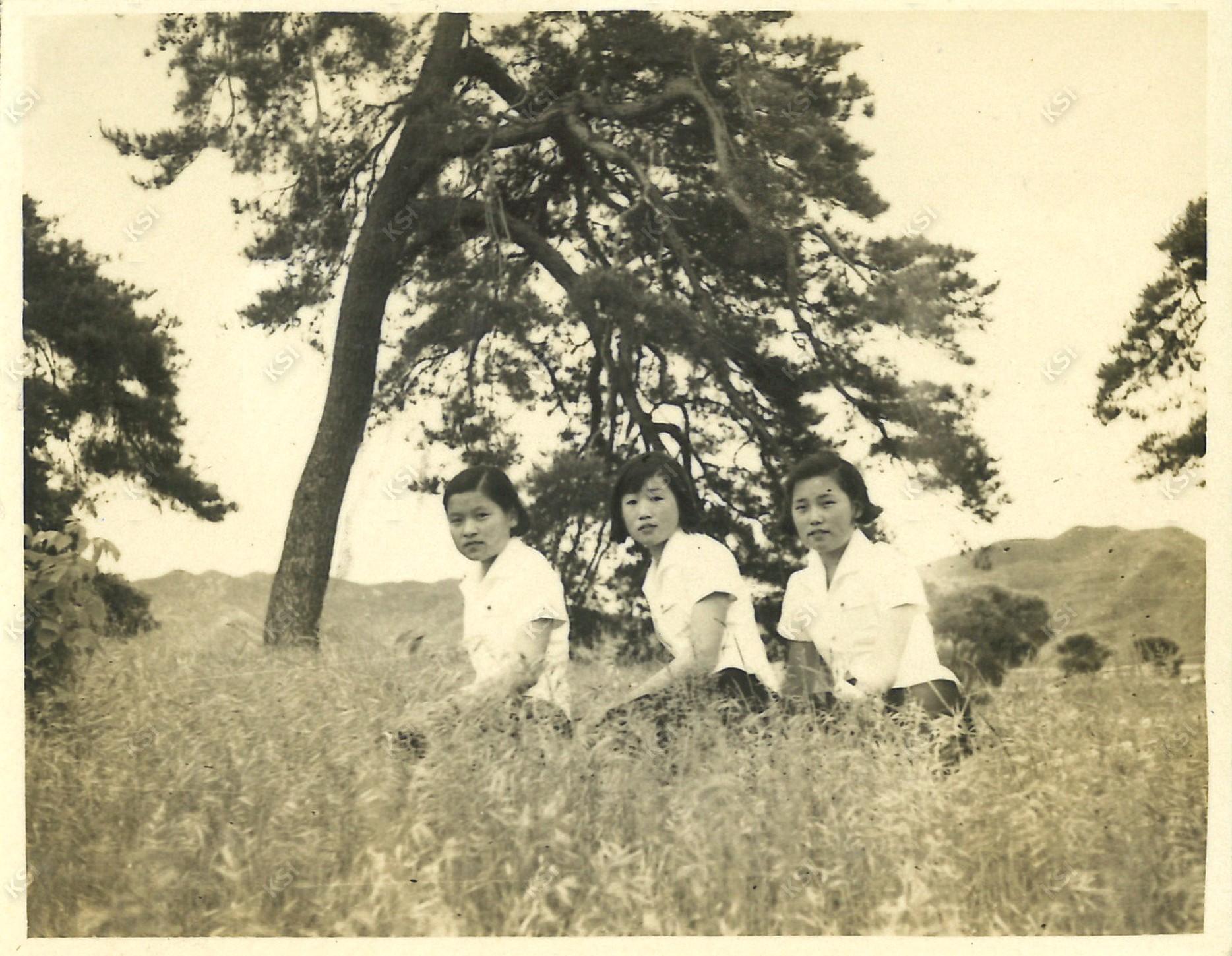 1950년대 후반 종친회에 가서