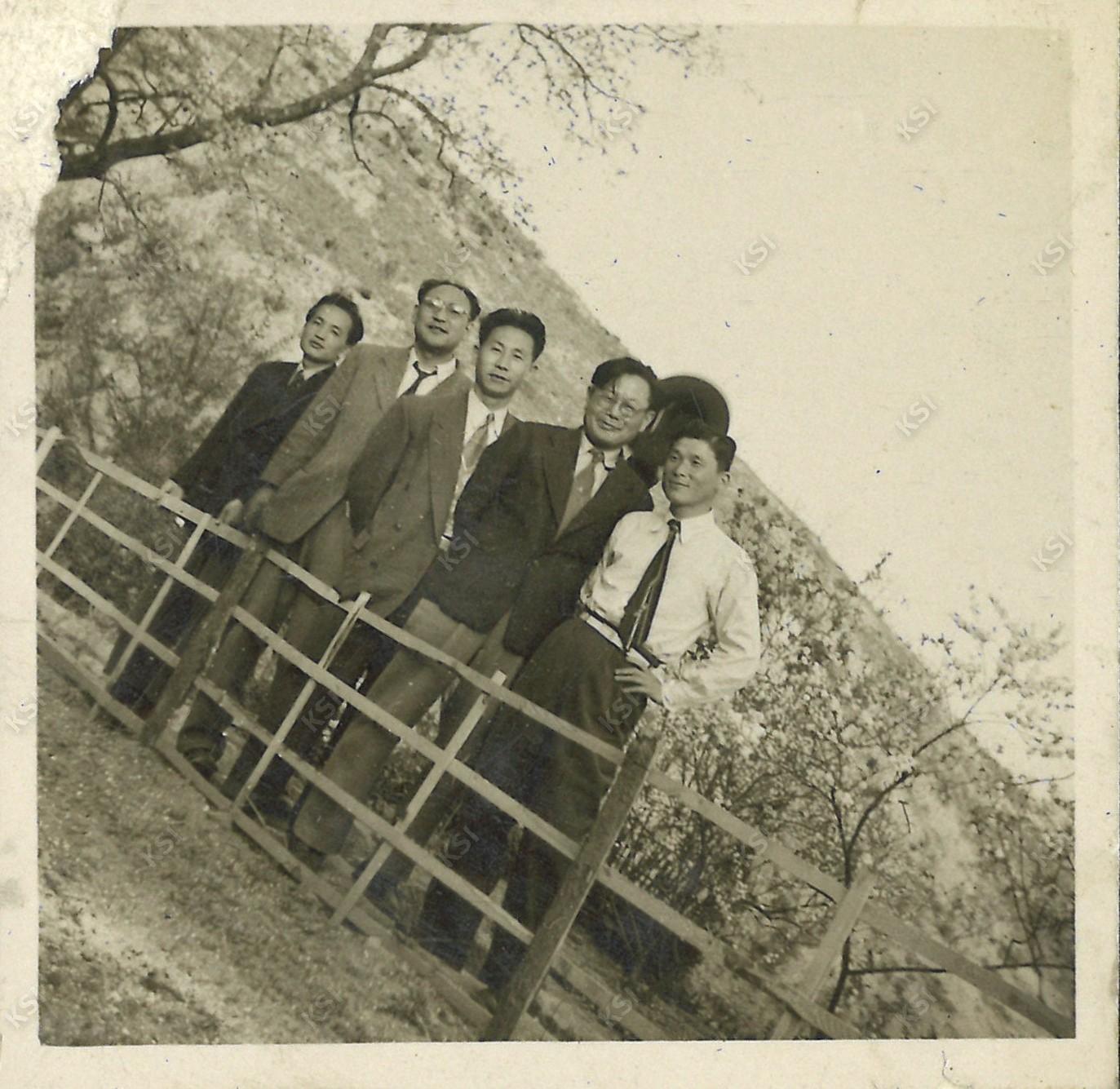 1960년대 봄철 꽃놀이