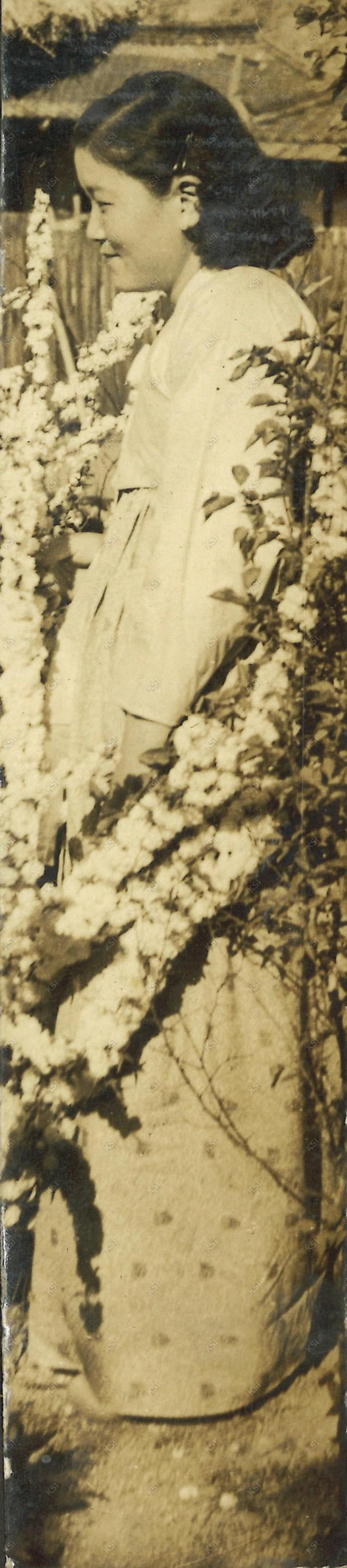 1960년대 옥매화 옆에서
