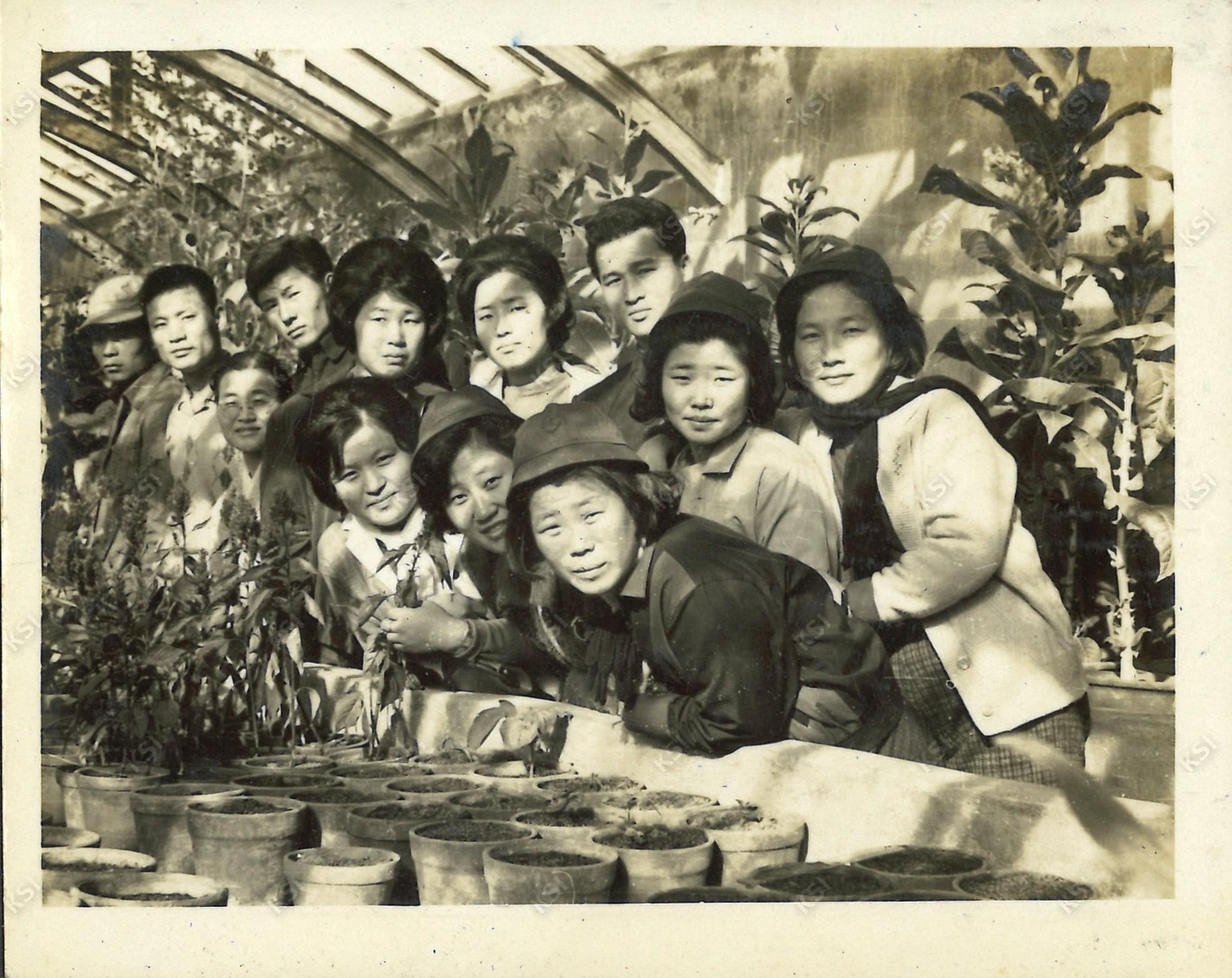 1962~1963년경 안동농업초급대학 졸업여행 온실에서