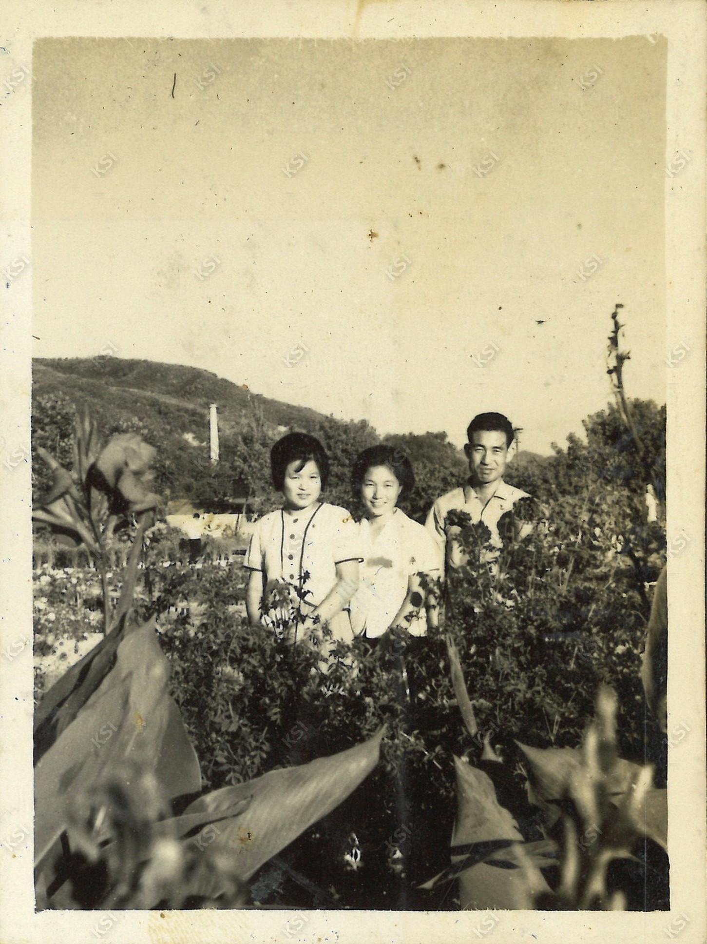 1962~1963년경 안동농업초급대학 학교 캠퍼스에서