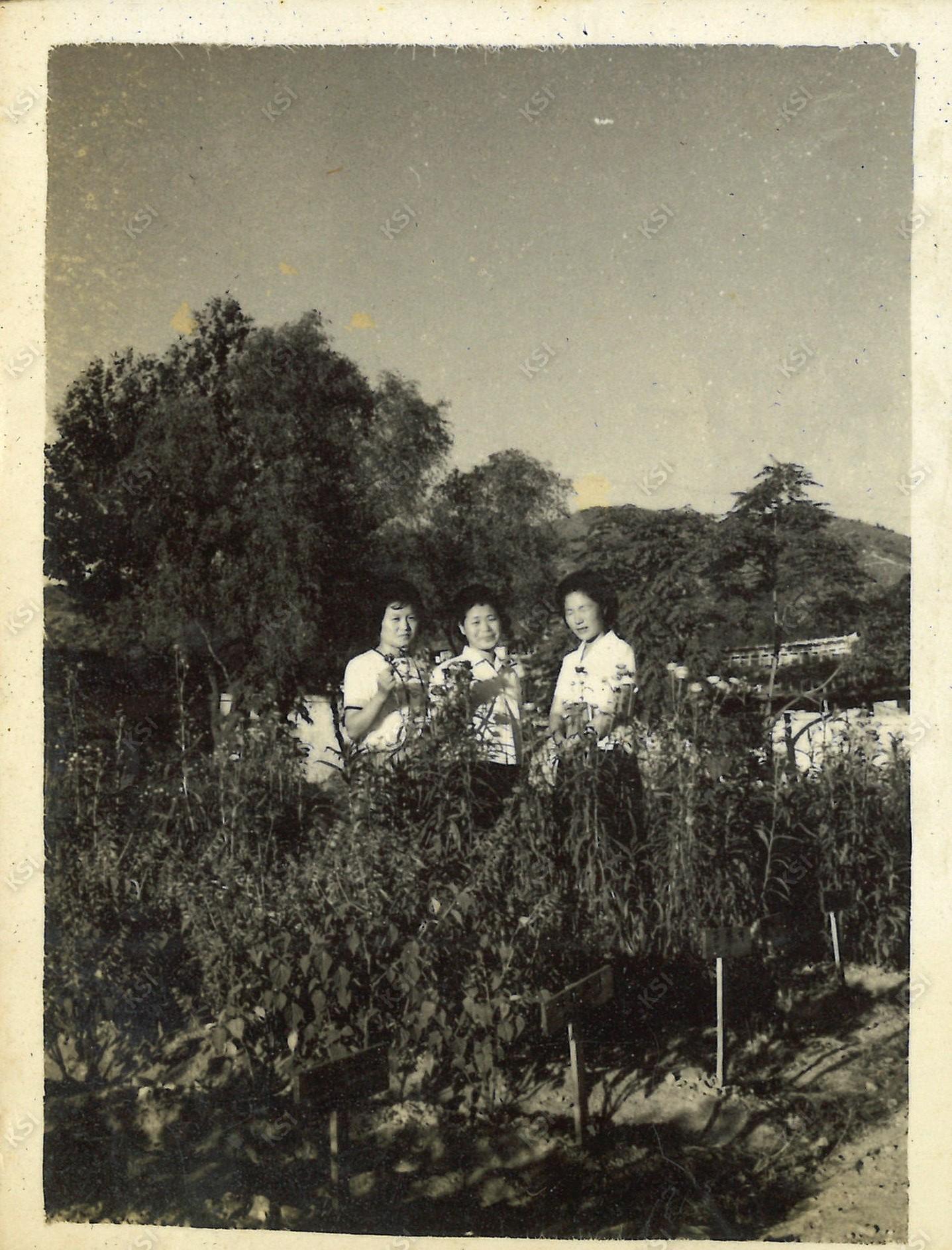 1962~1963년경 안동농업초급대학 학교 캠퍼스에서