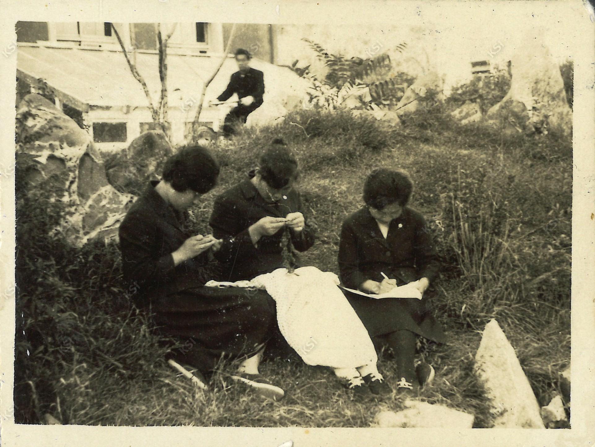1962~1963년경 안동농업초급대학 학우들과 과제를 하는 모습