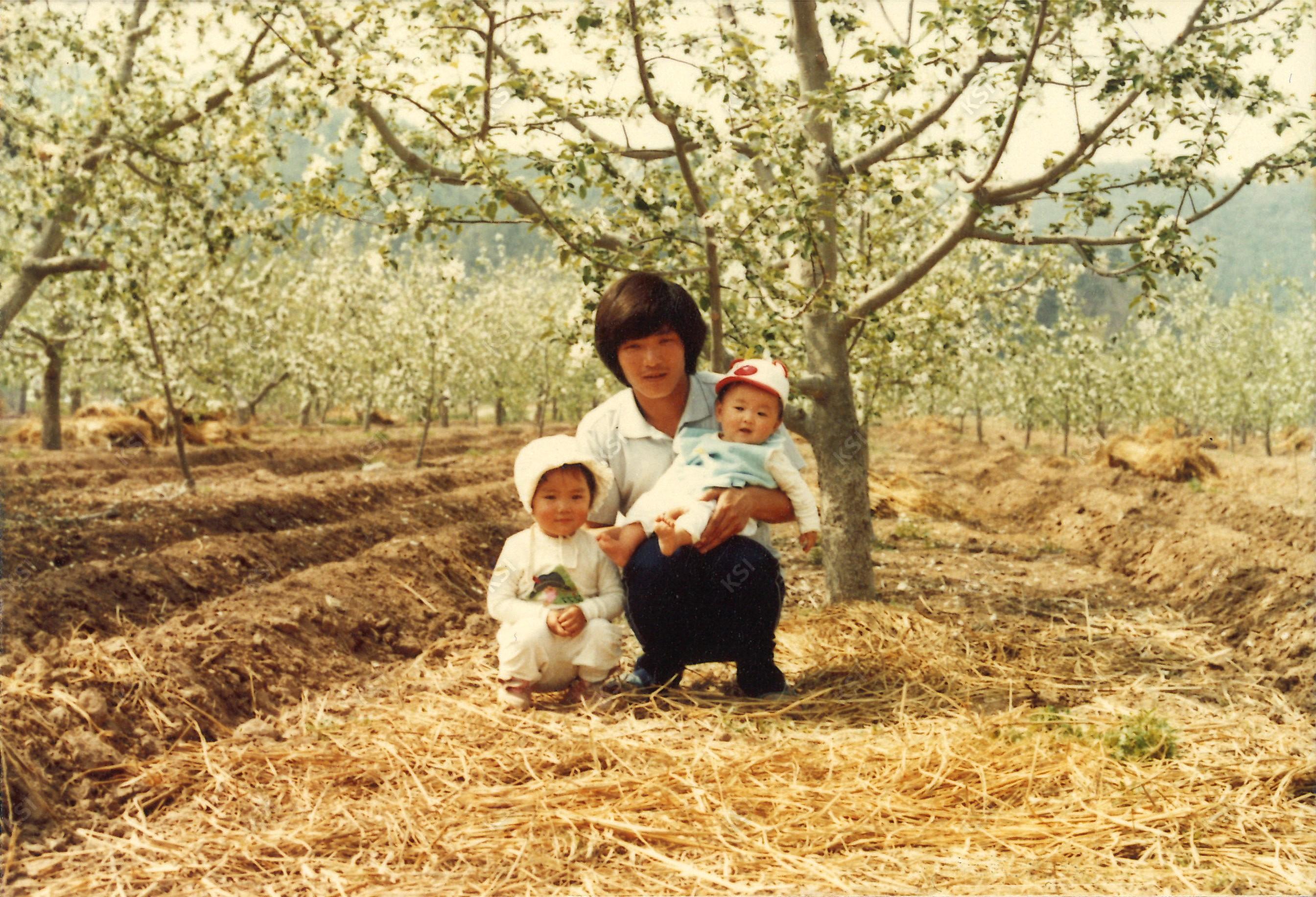 1984년 용상동 사과나무 아래에서
