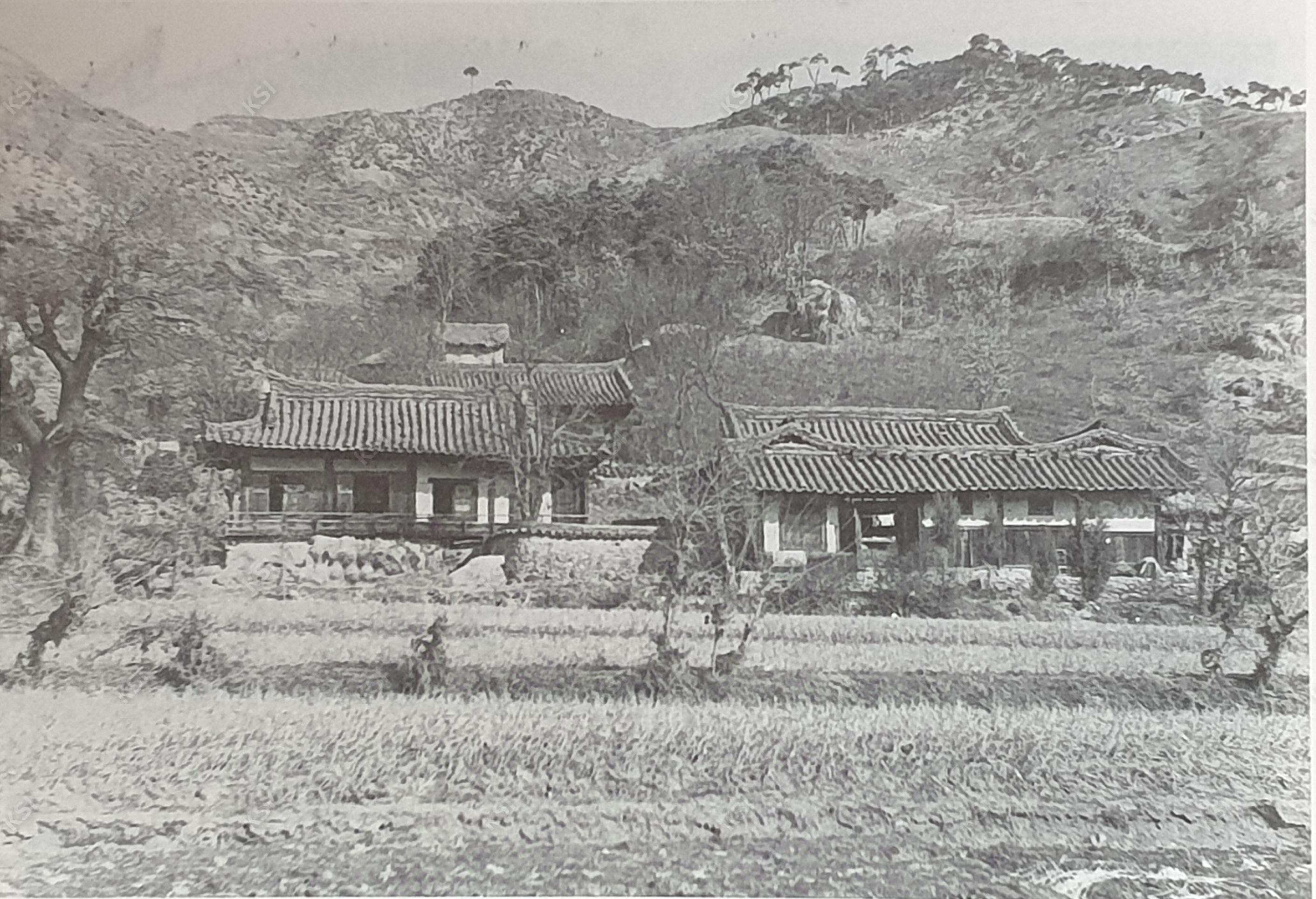 1960년경 월곡면 도목리 임연재 고택