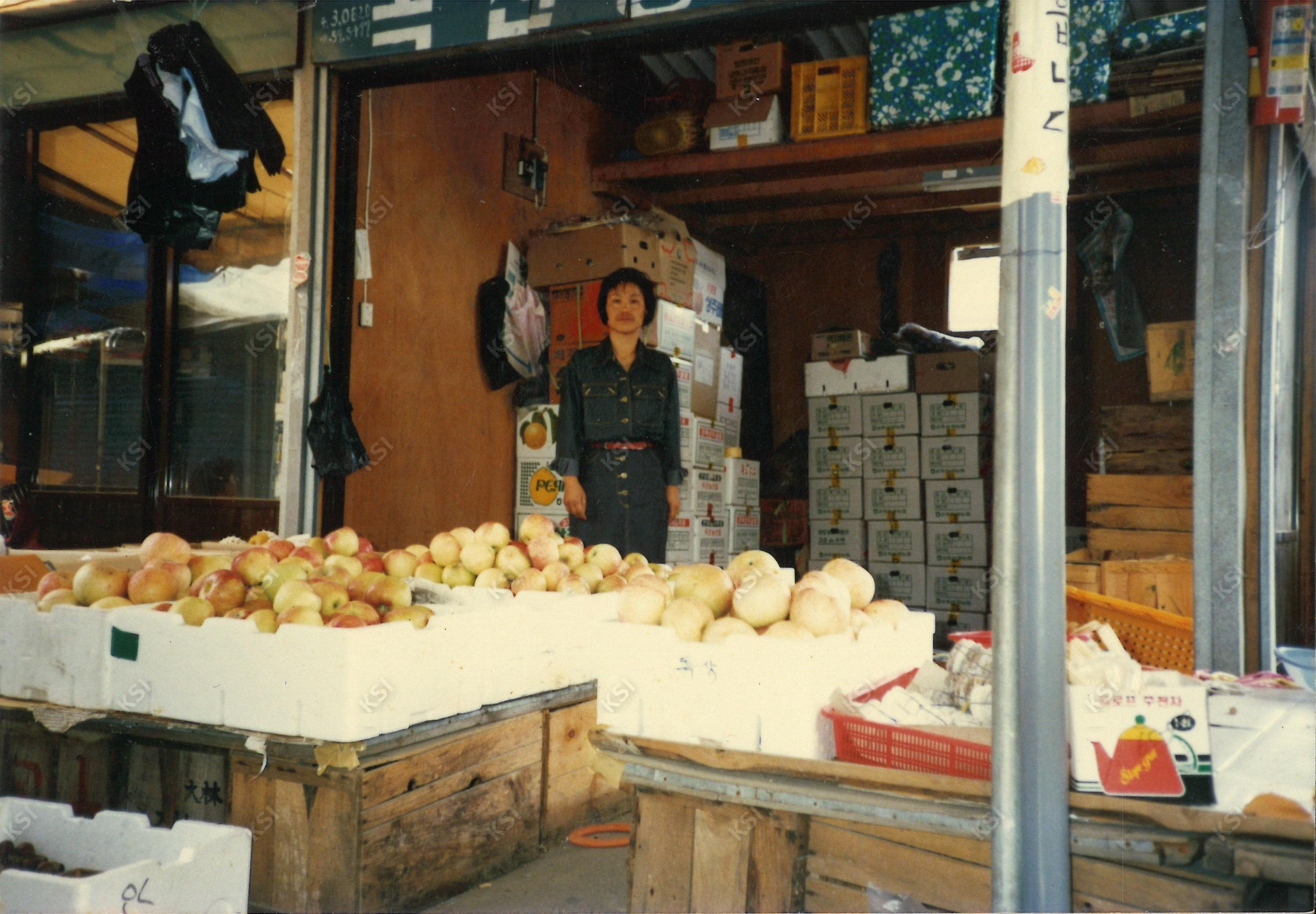 1990년대 녹전청과