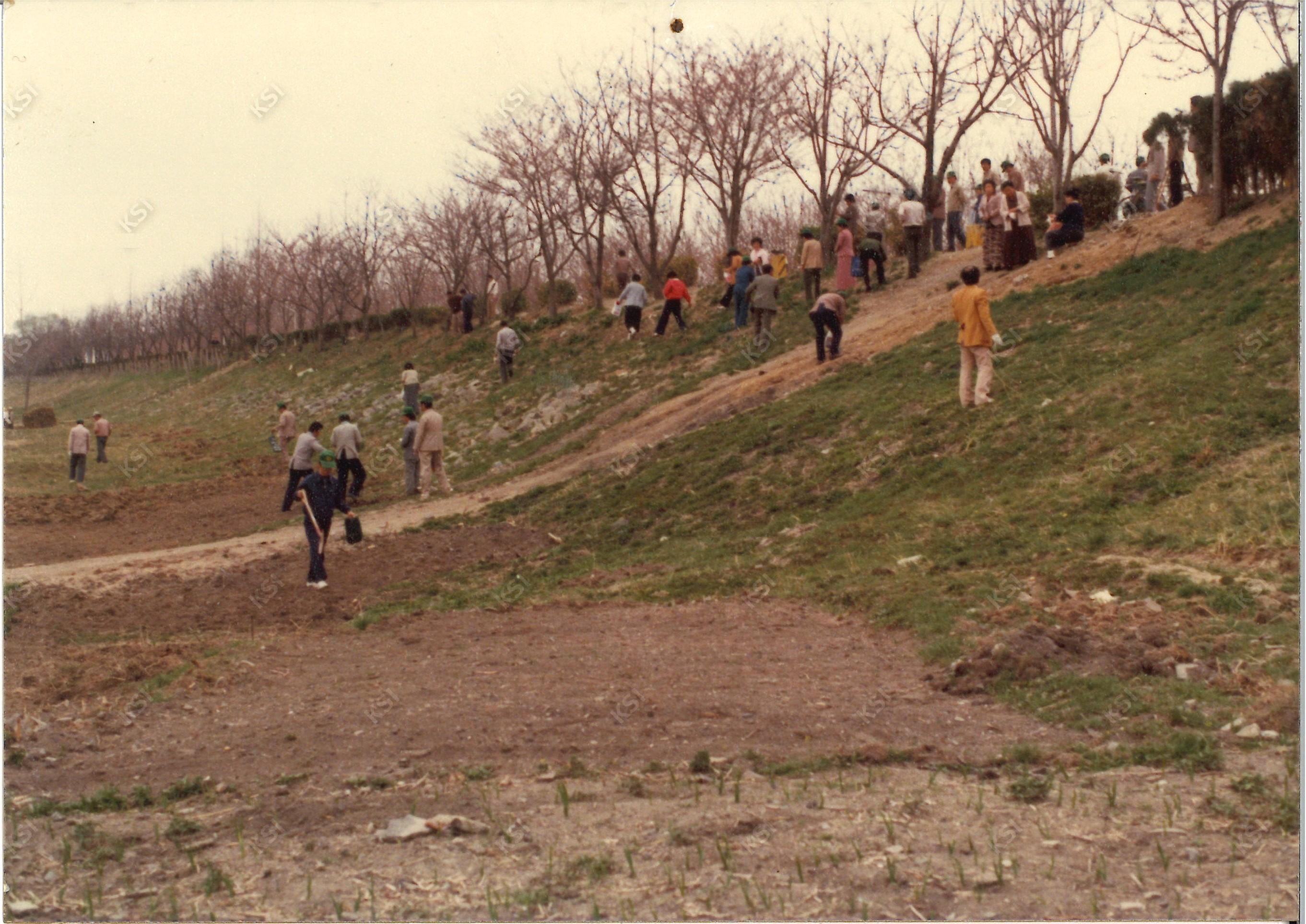 1970년대 새마을운동 강변 환경 정화 활동