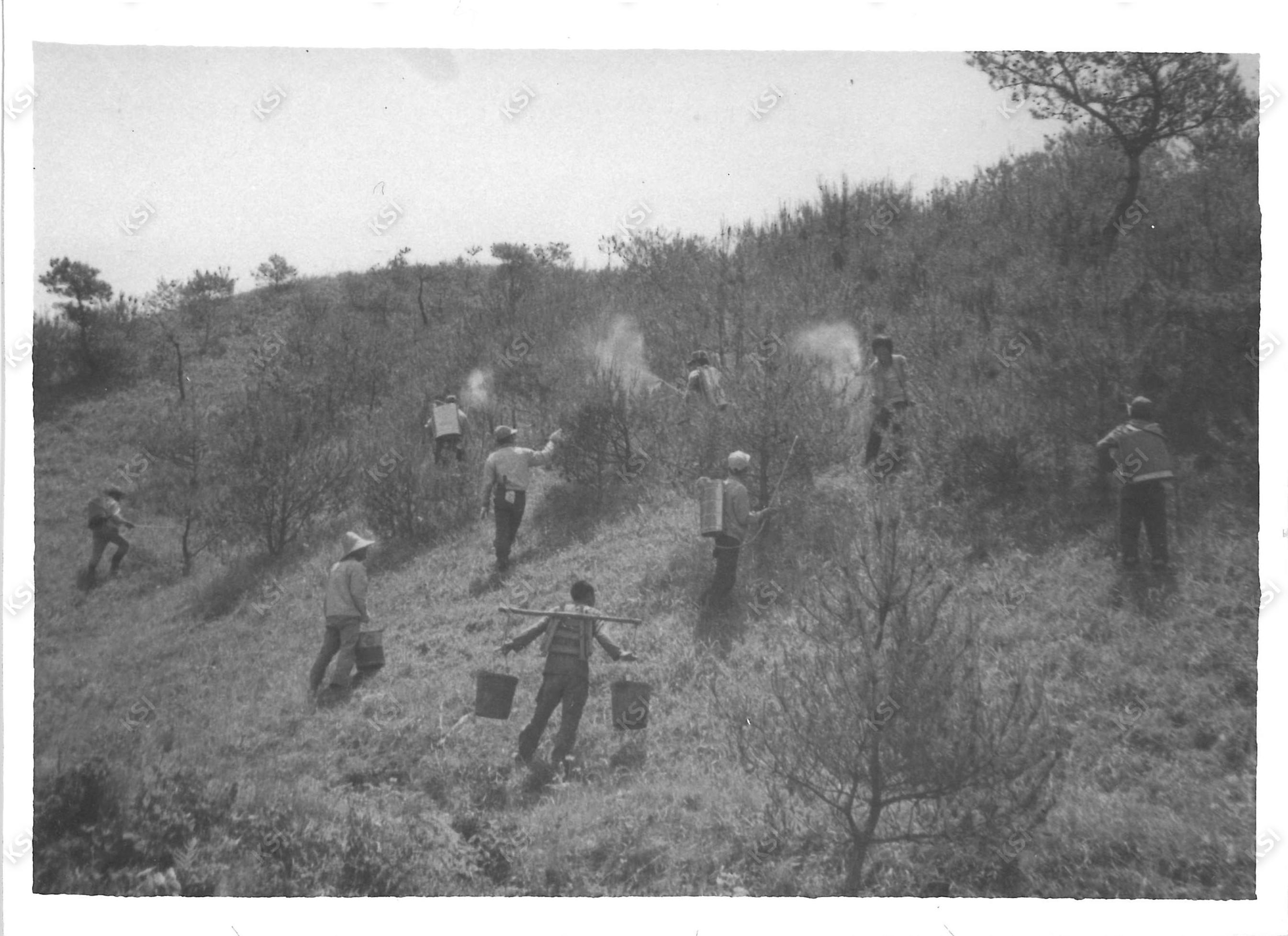 1970년대 새마을운동 방충 작업