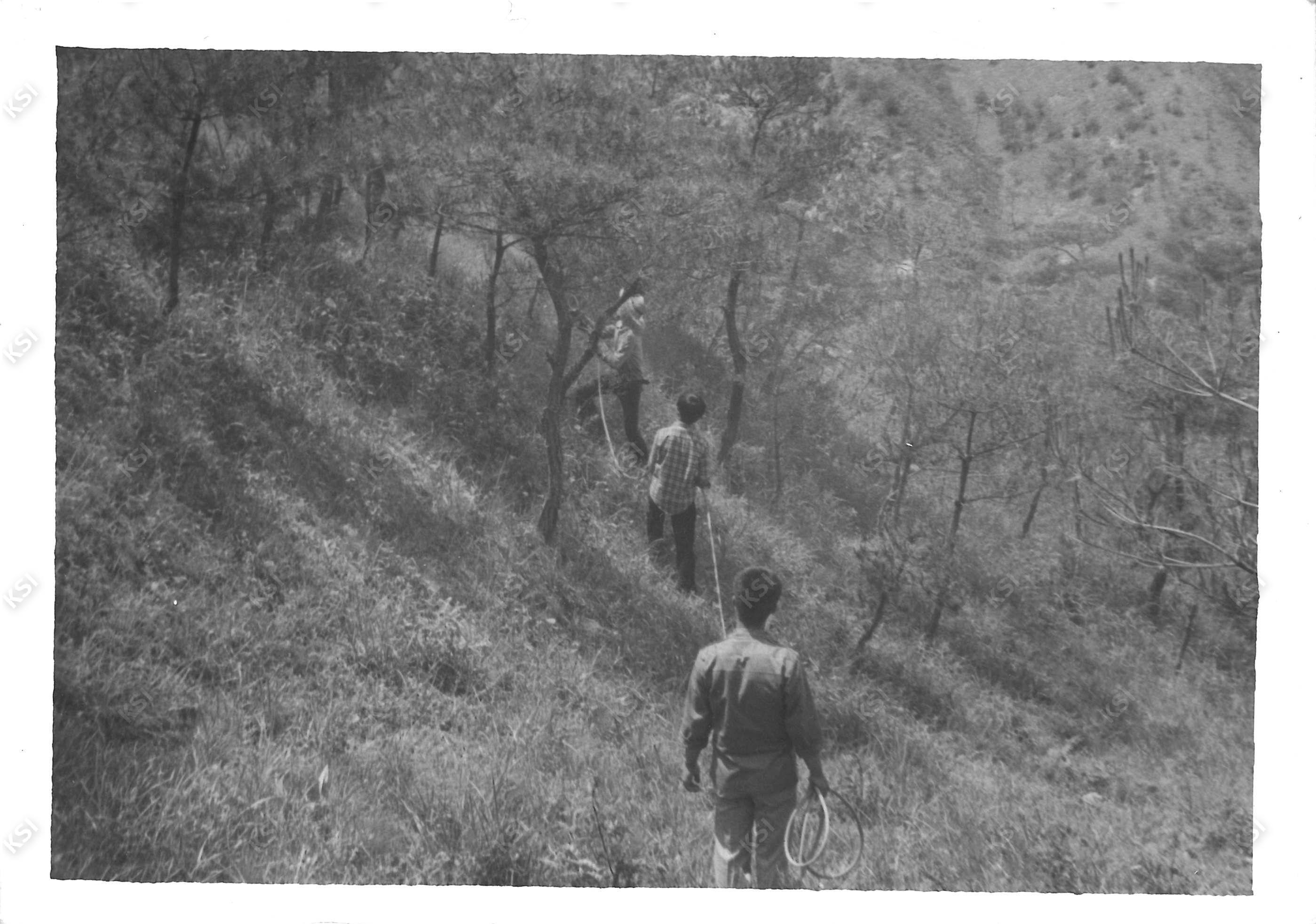 1970년대 새마을운동 방충 작업