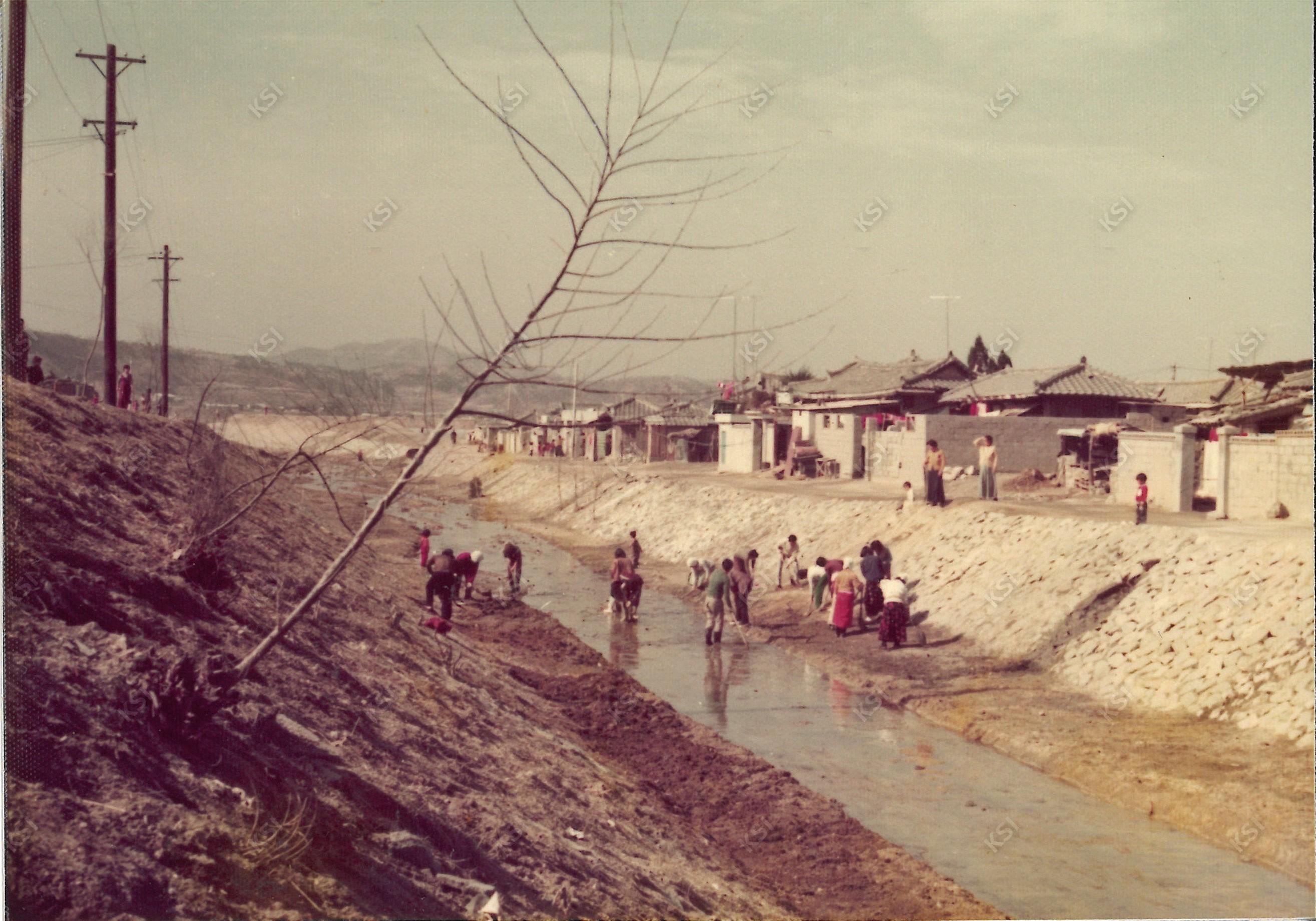 1970년대 새마을운동 용상동 성곡천 환경 정화 활동