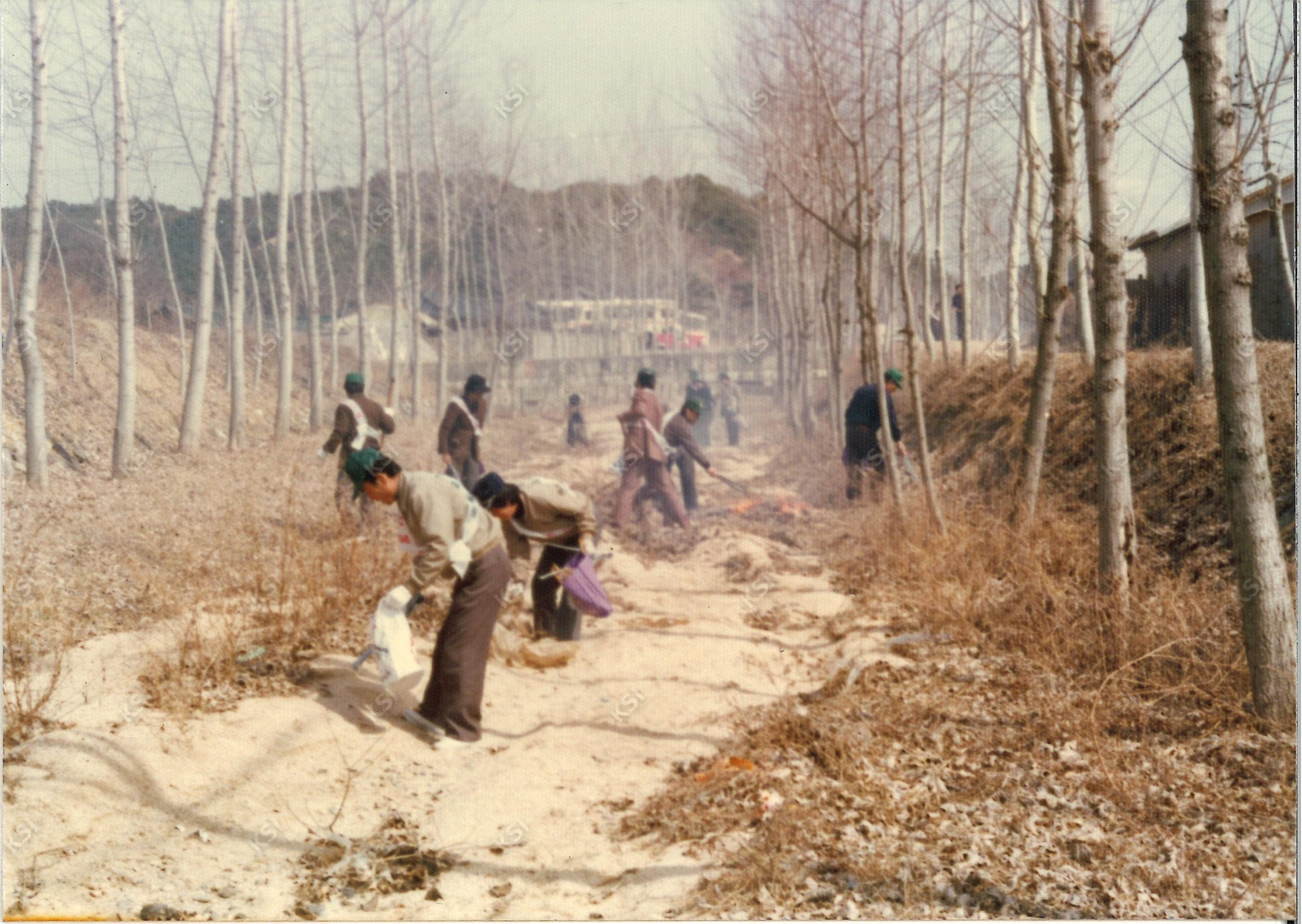 1970년대 새마을운동 임하 지역 환경정화활동