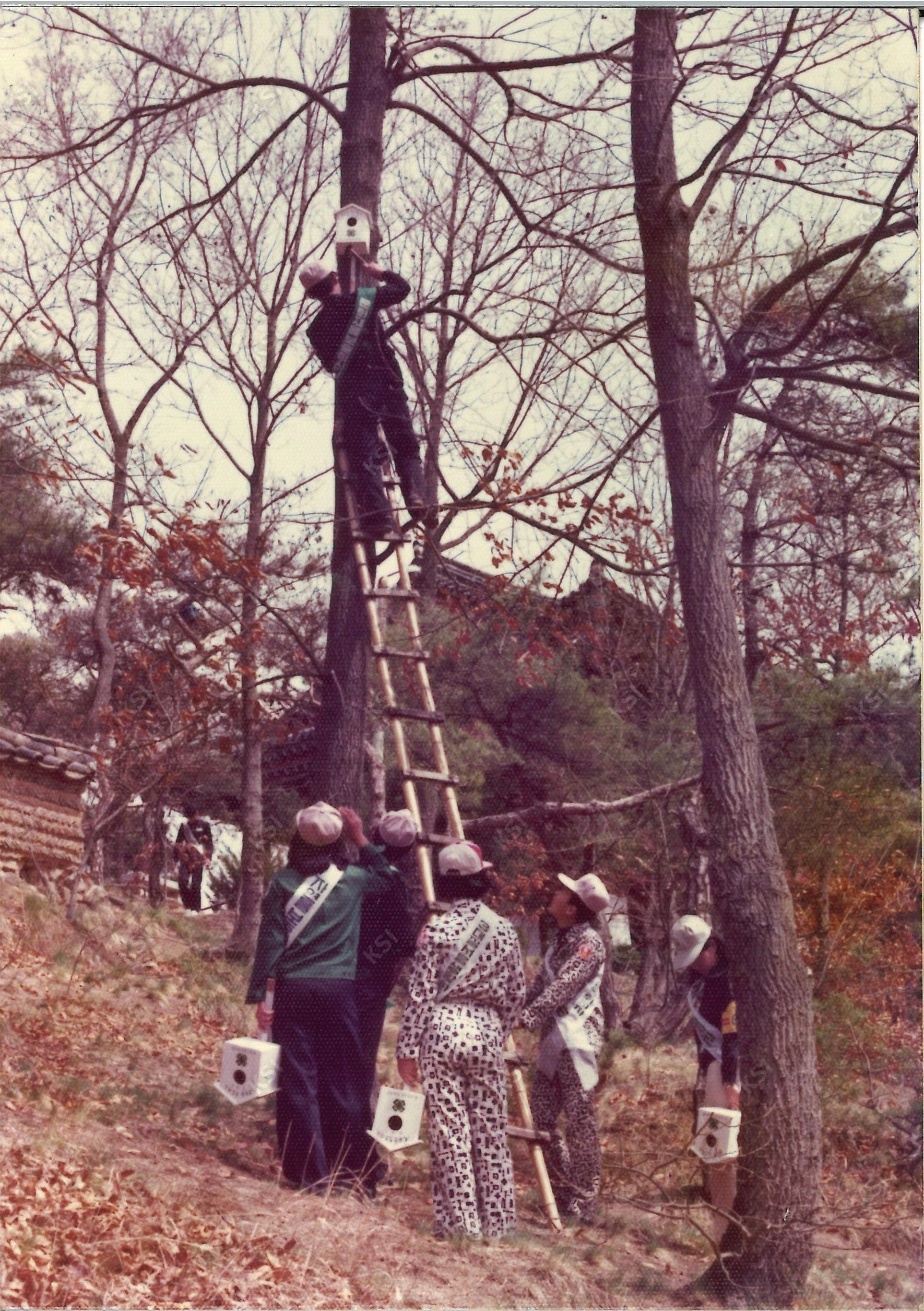 1970년대 새마을운동 자연보호 일환인 새집 달아주기