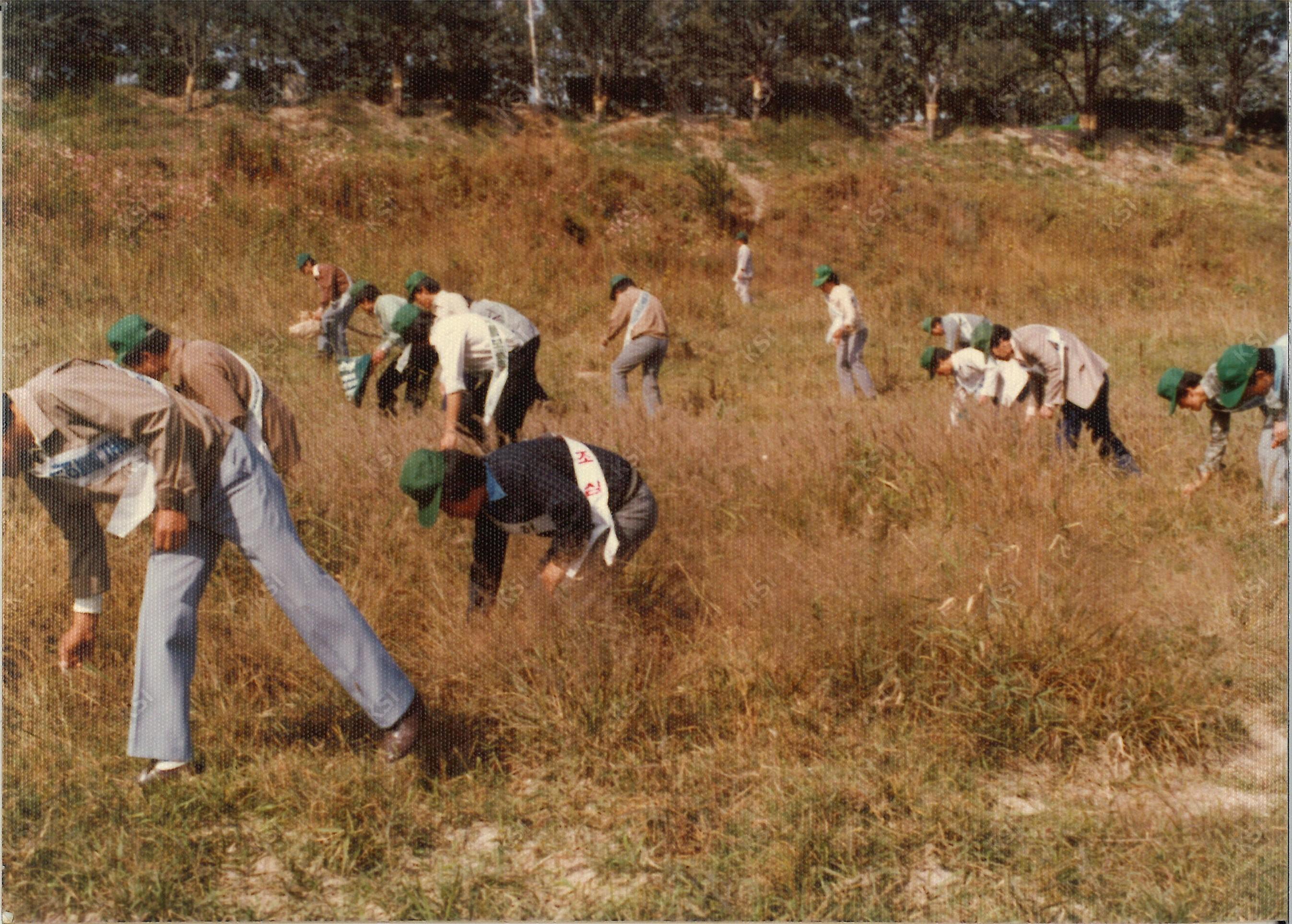 1970년대 새마을운동 환경정화활동