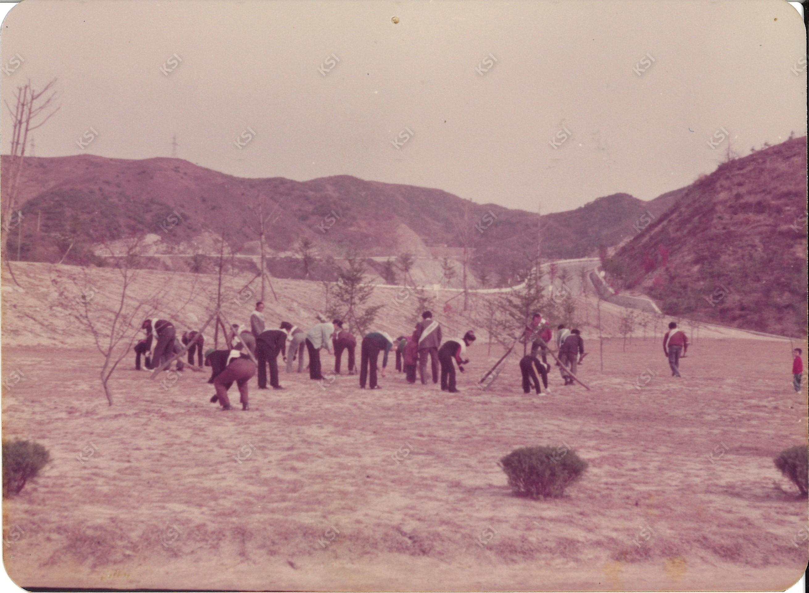 1970년대 새마을운동 환경정화활동