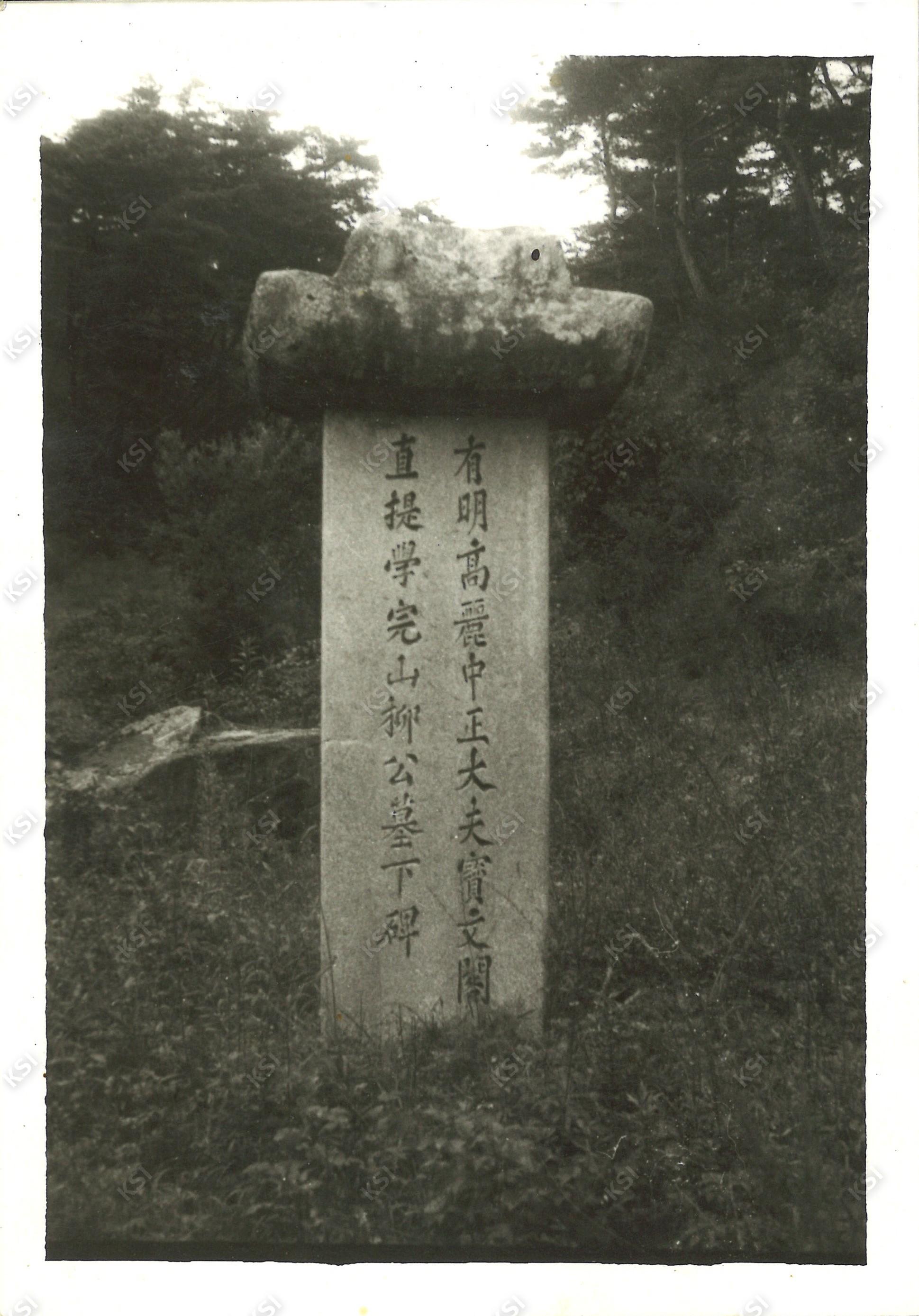 1970년대 고려중정대부보문각직제학완산류공의 묘비