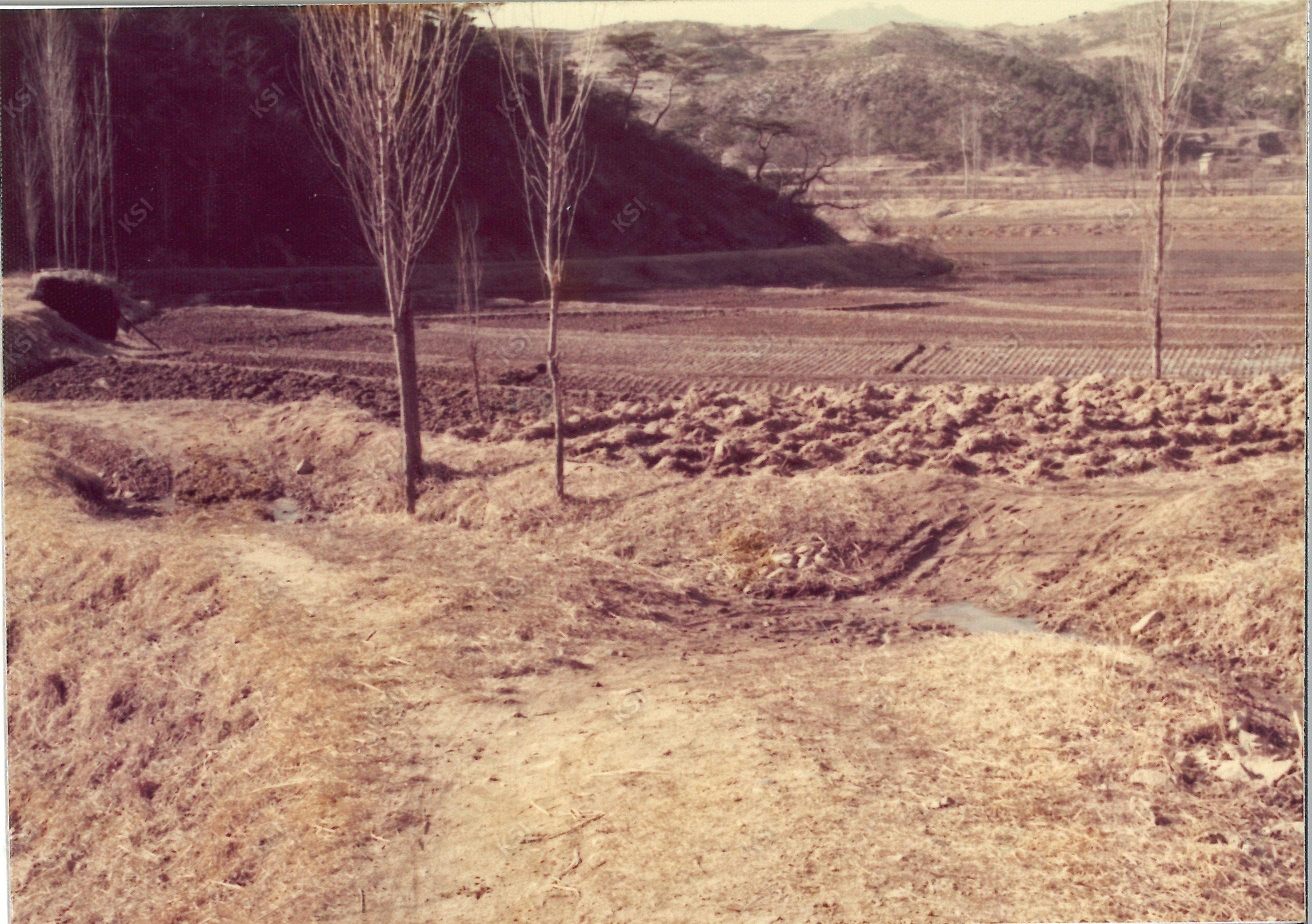 1970년대 안동 재봉골 암거 시행전 모습