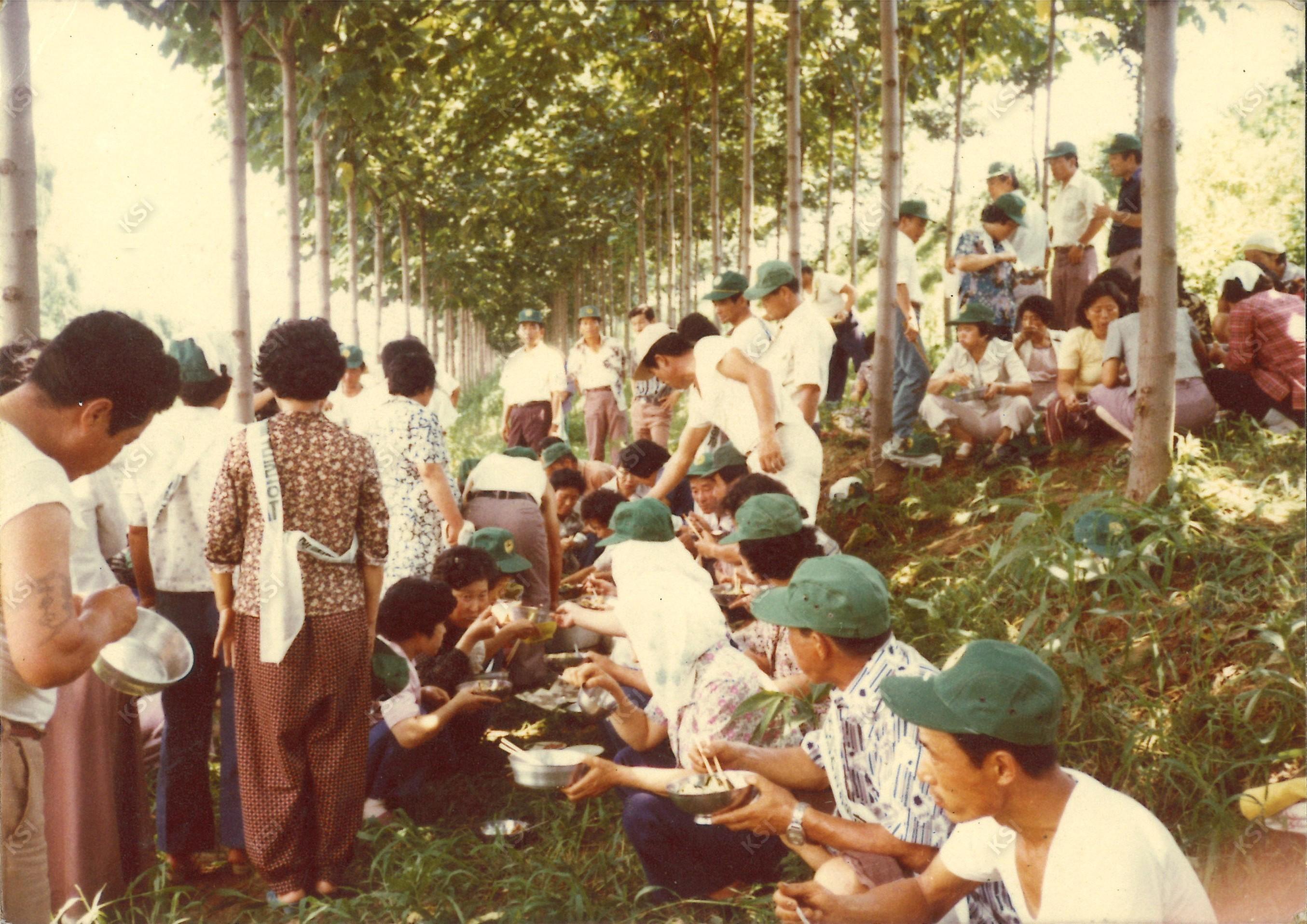 1970년대 용상동 새마을운동