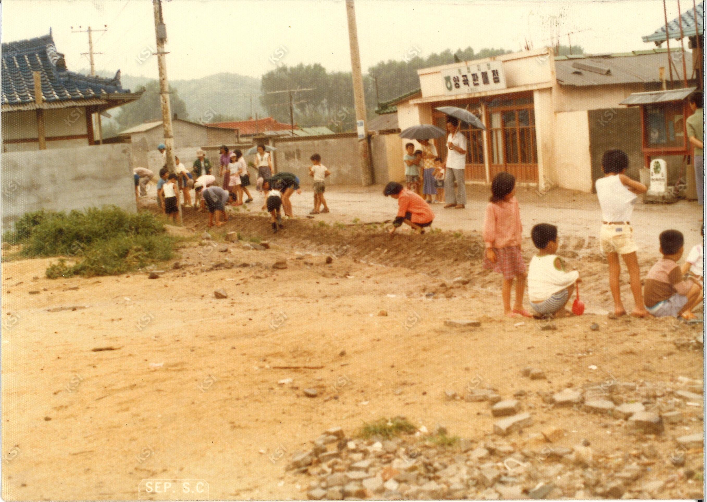 1970년대 용성동 비행장새마을금고 앞 새마을운동 꽃길 조성