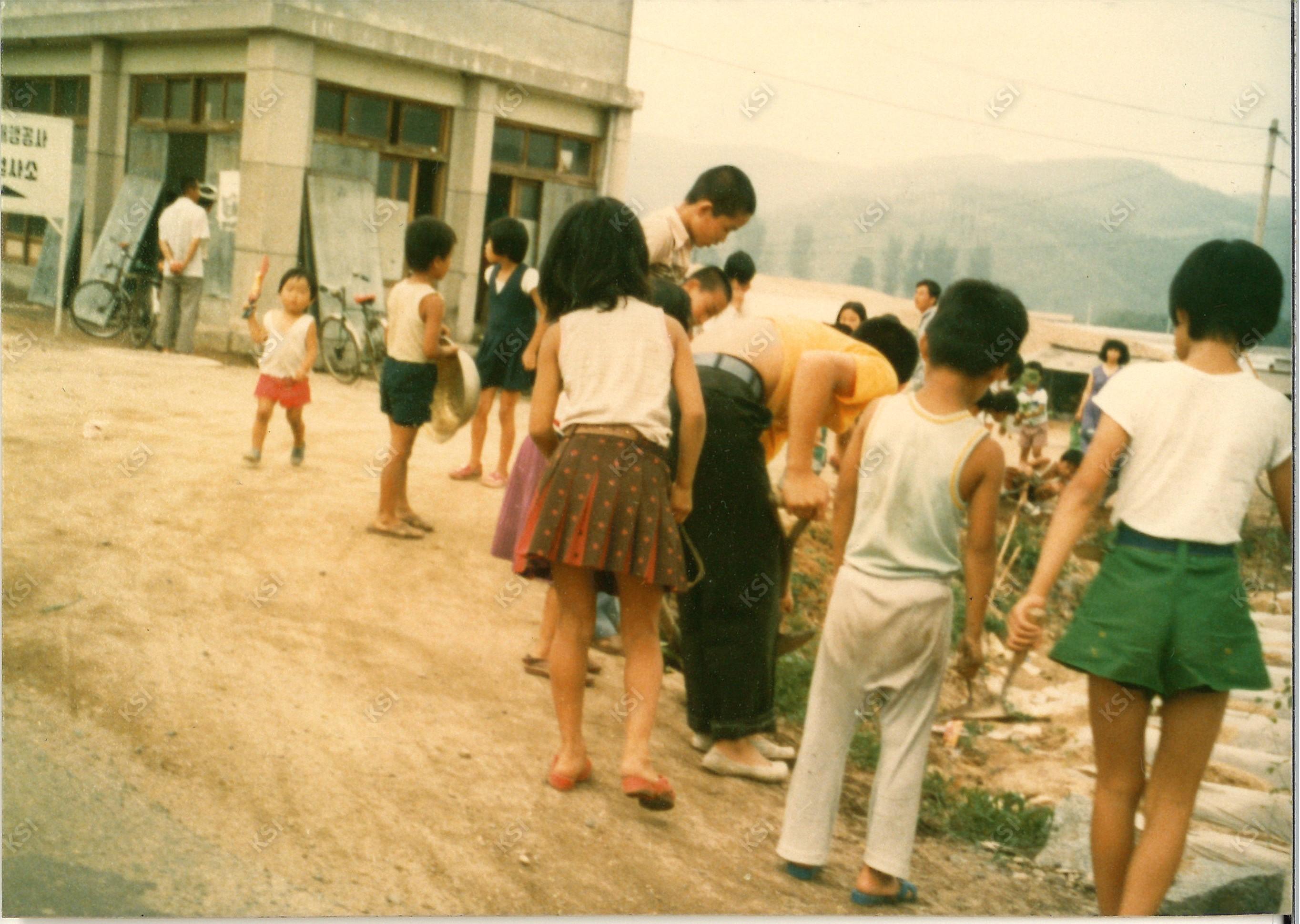 1970년대 용성동 새마을운동 꽃길 조성