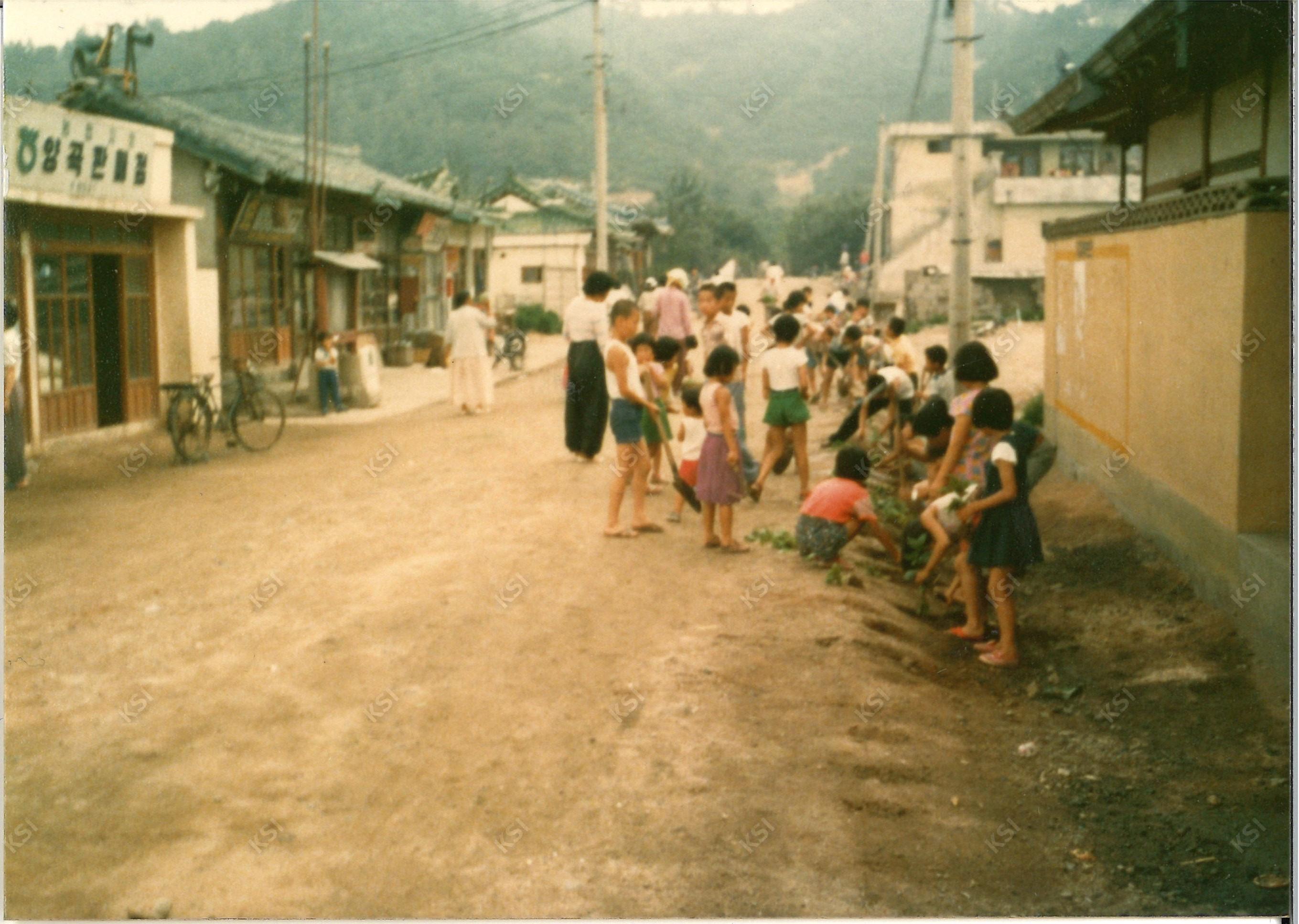 1970년대 용성동 새마을운동 꽃길 조성