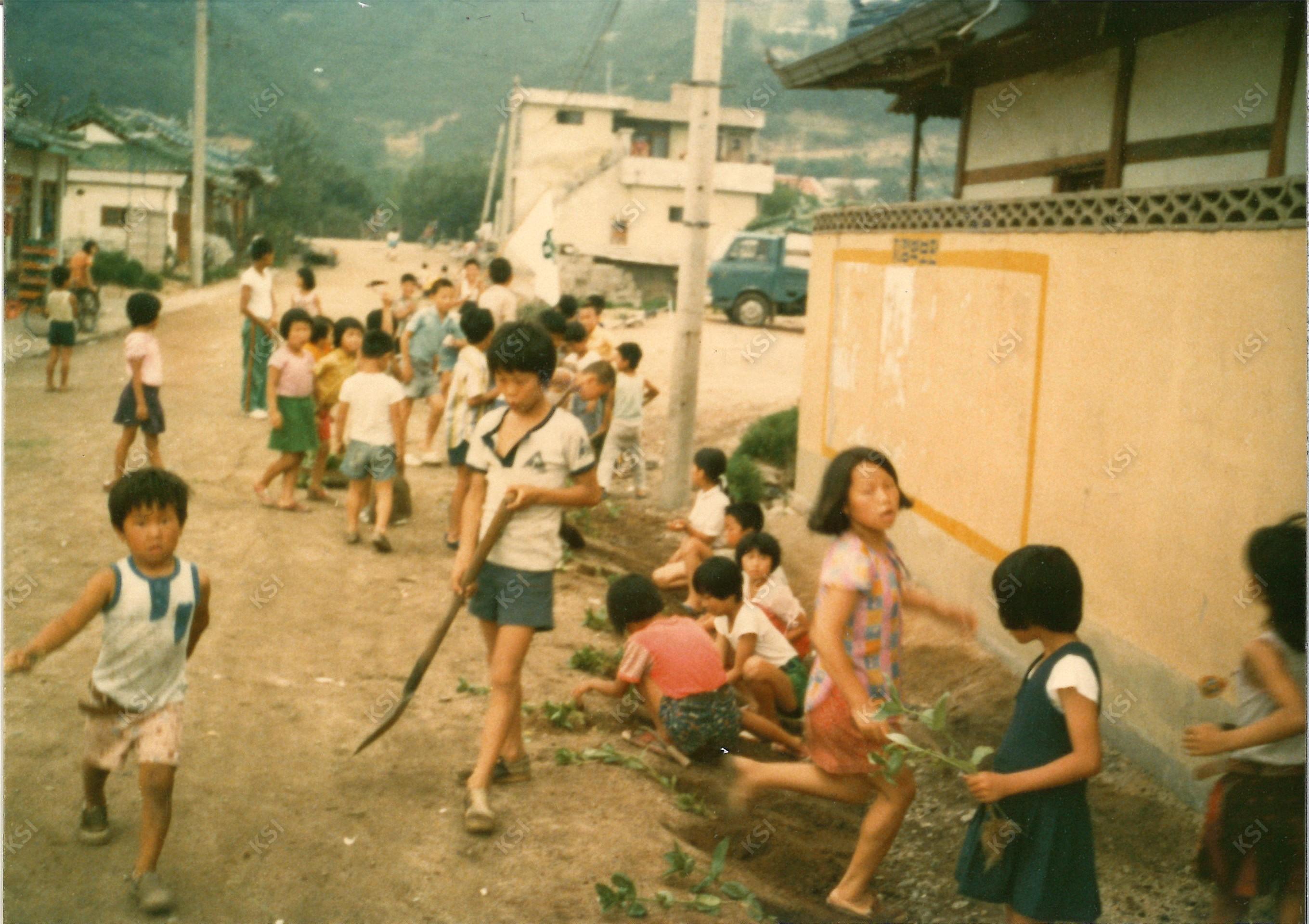 1970년대 용성동 새마을운동 꽃길 조성