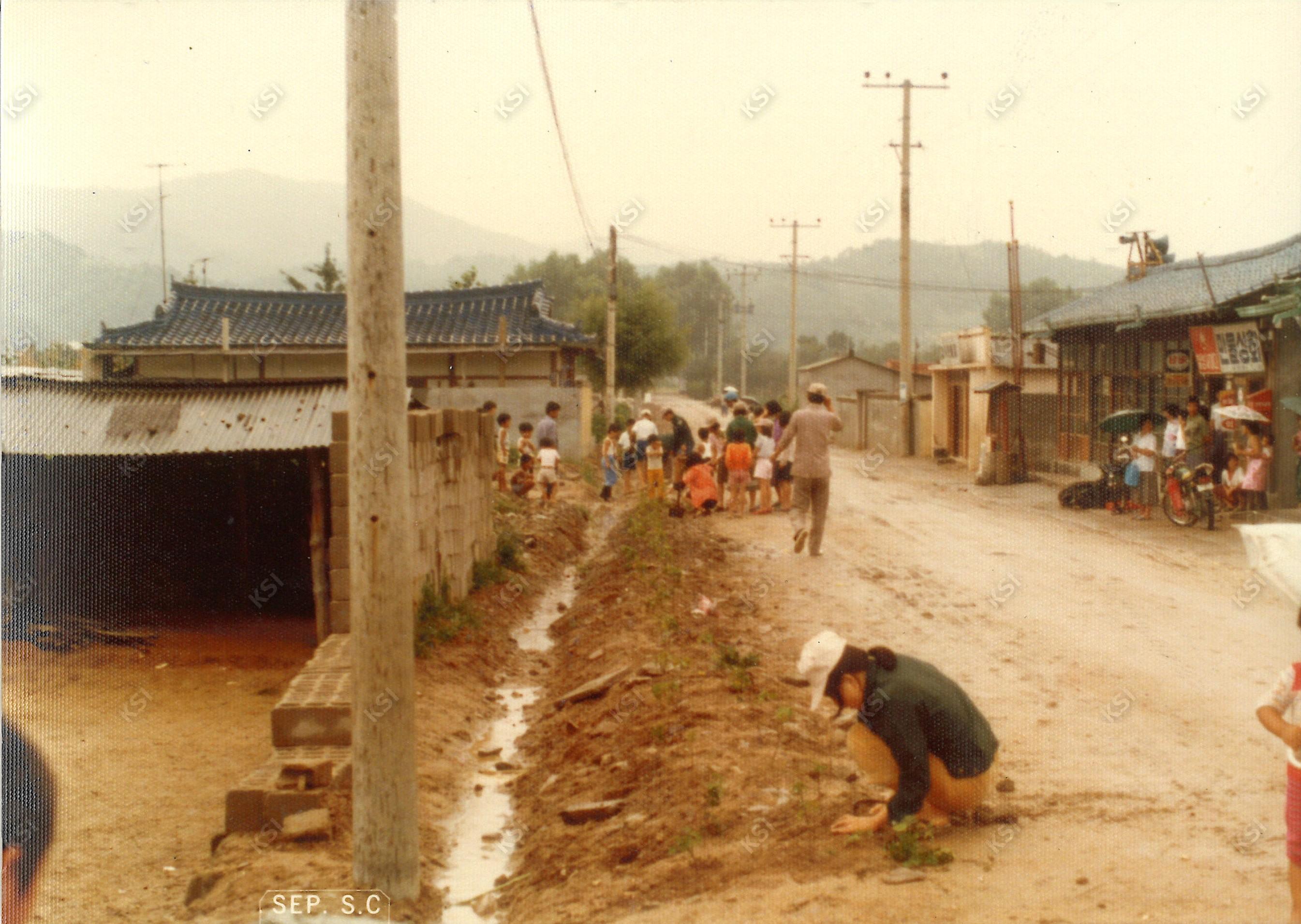 1970년대 용성동 새마을운동 꽃길 조성