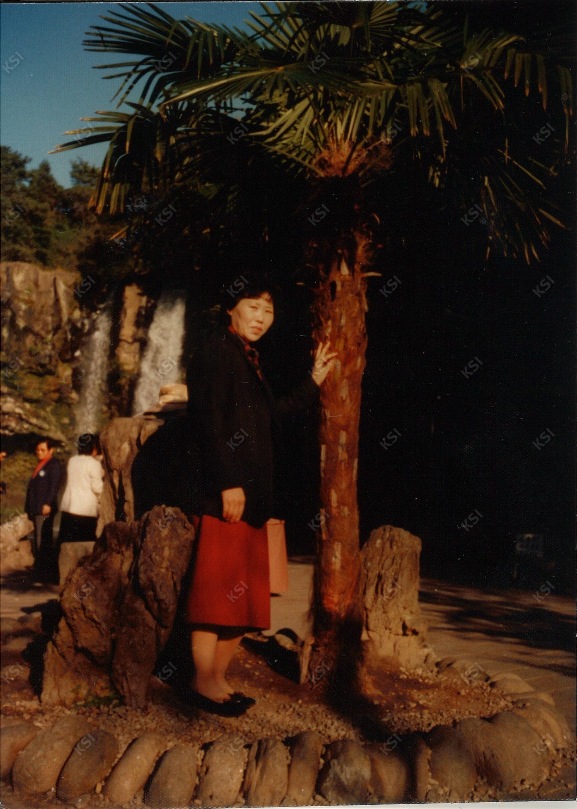 1981년 11월 제주도에서