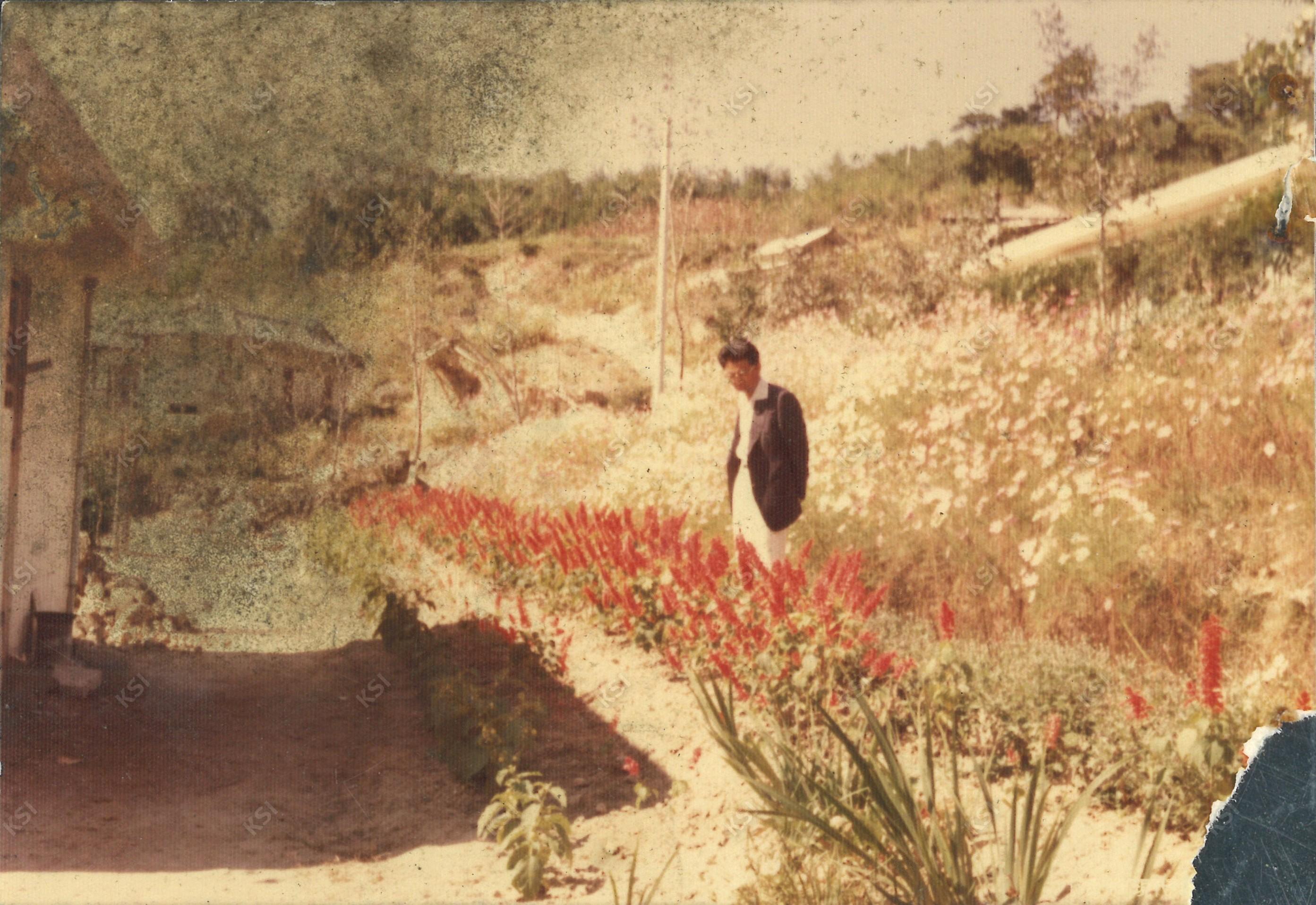 1979년 대동초 사택 꽃밭과 교장선생님