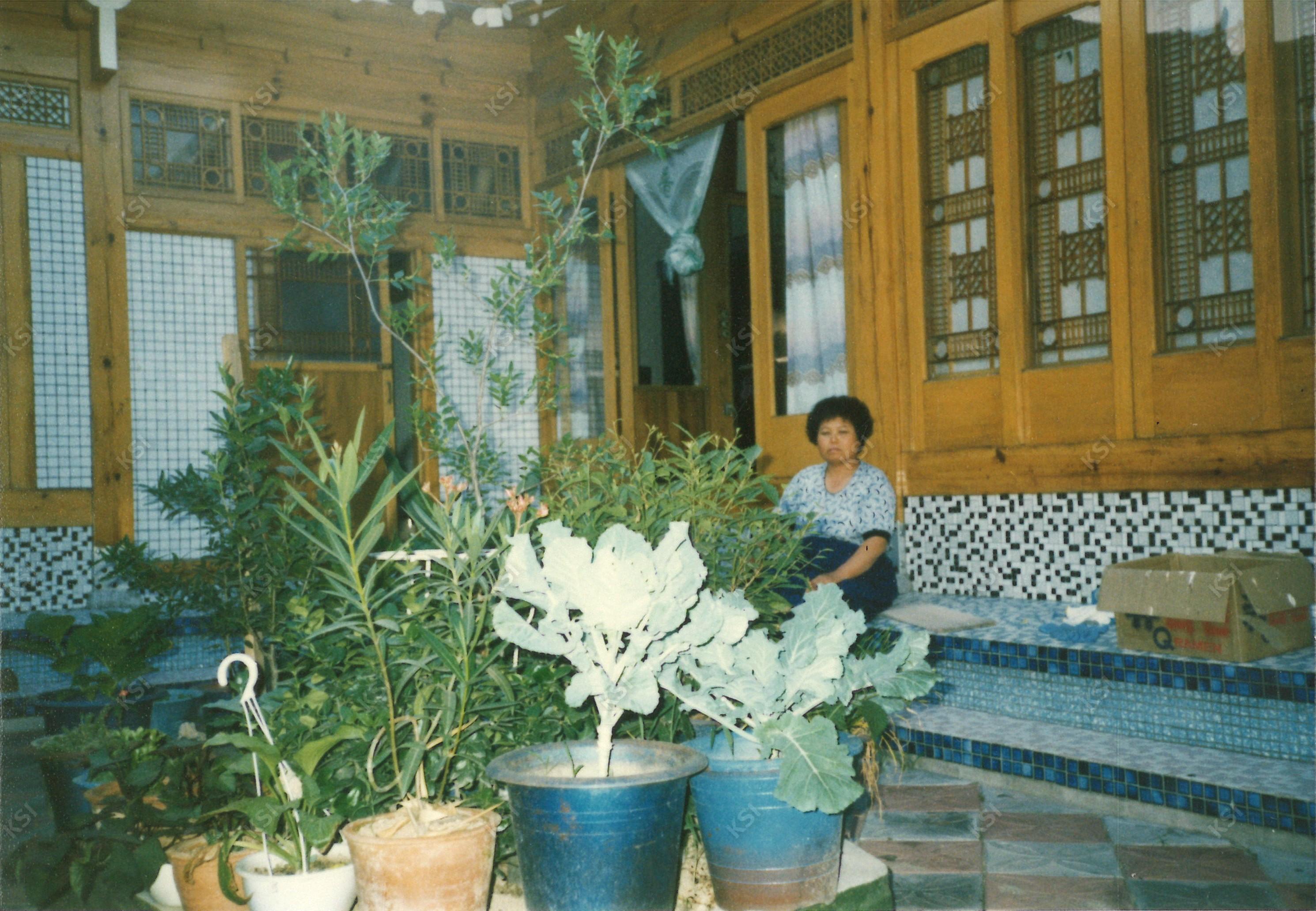 1970년대 용상동 이웃집 마당에서