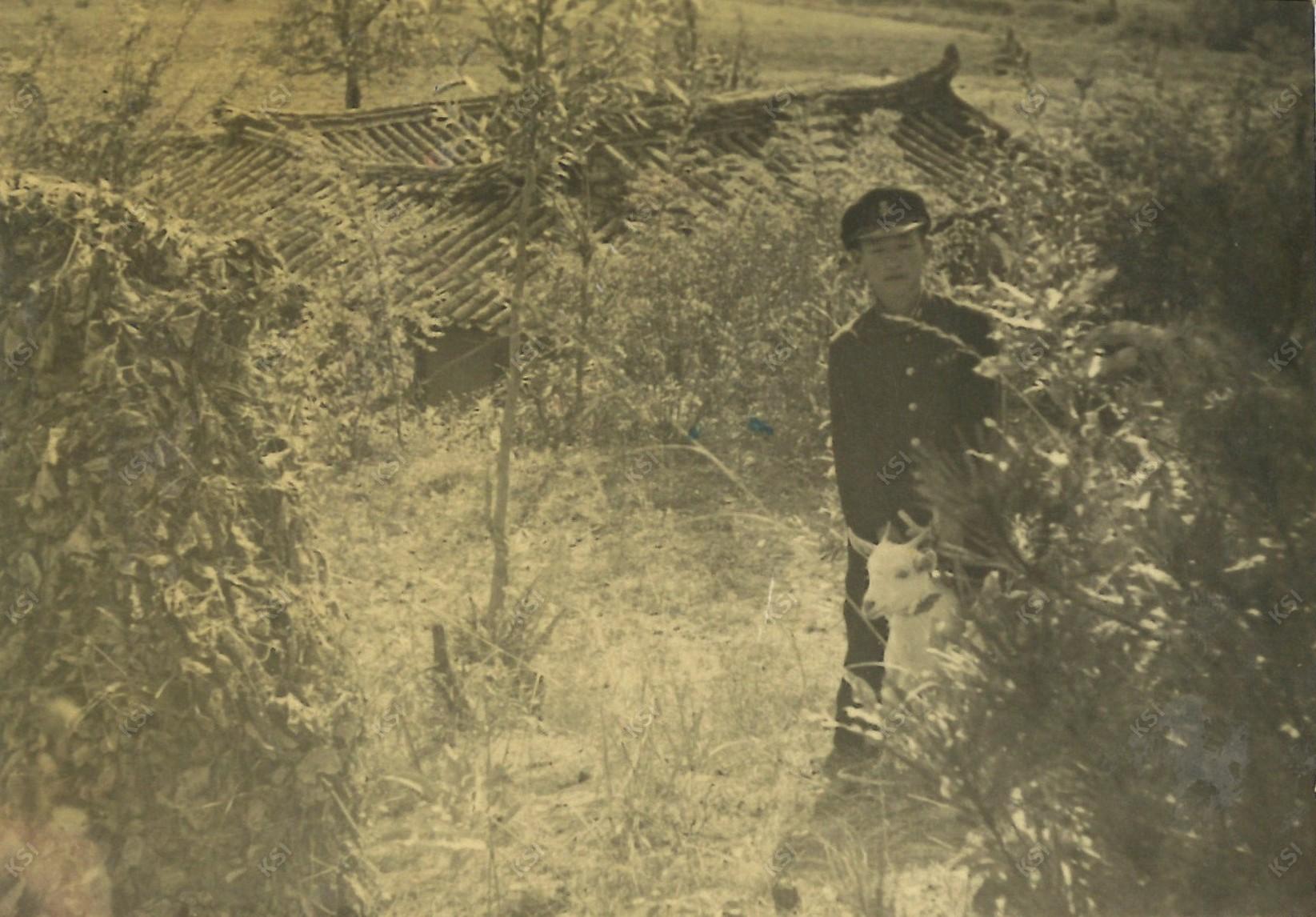 1956~1958년 경당종택 뒷산에서 염소와 함께