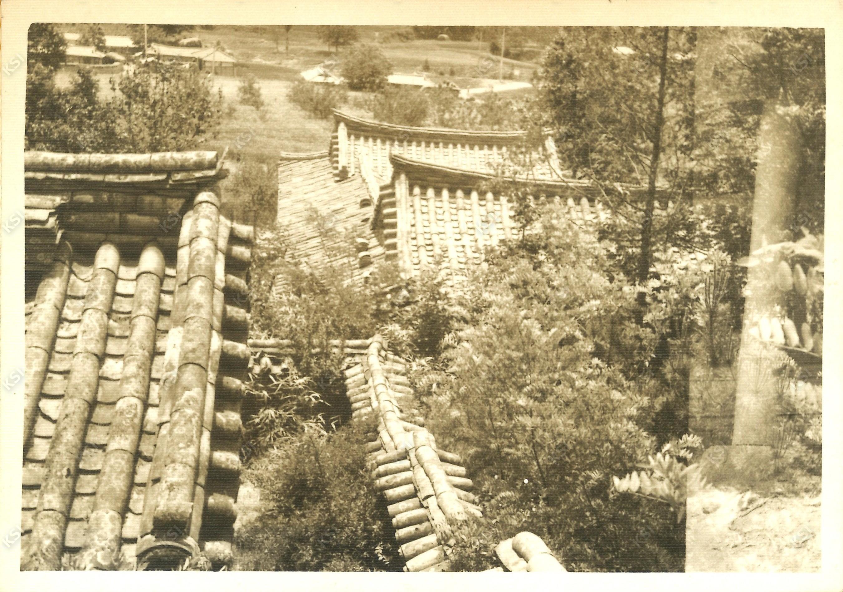 1970년대 경당종택 뒷산에서 바라본 마을