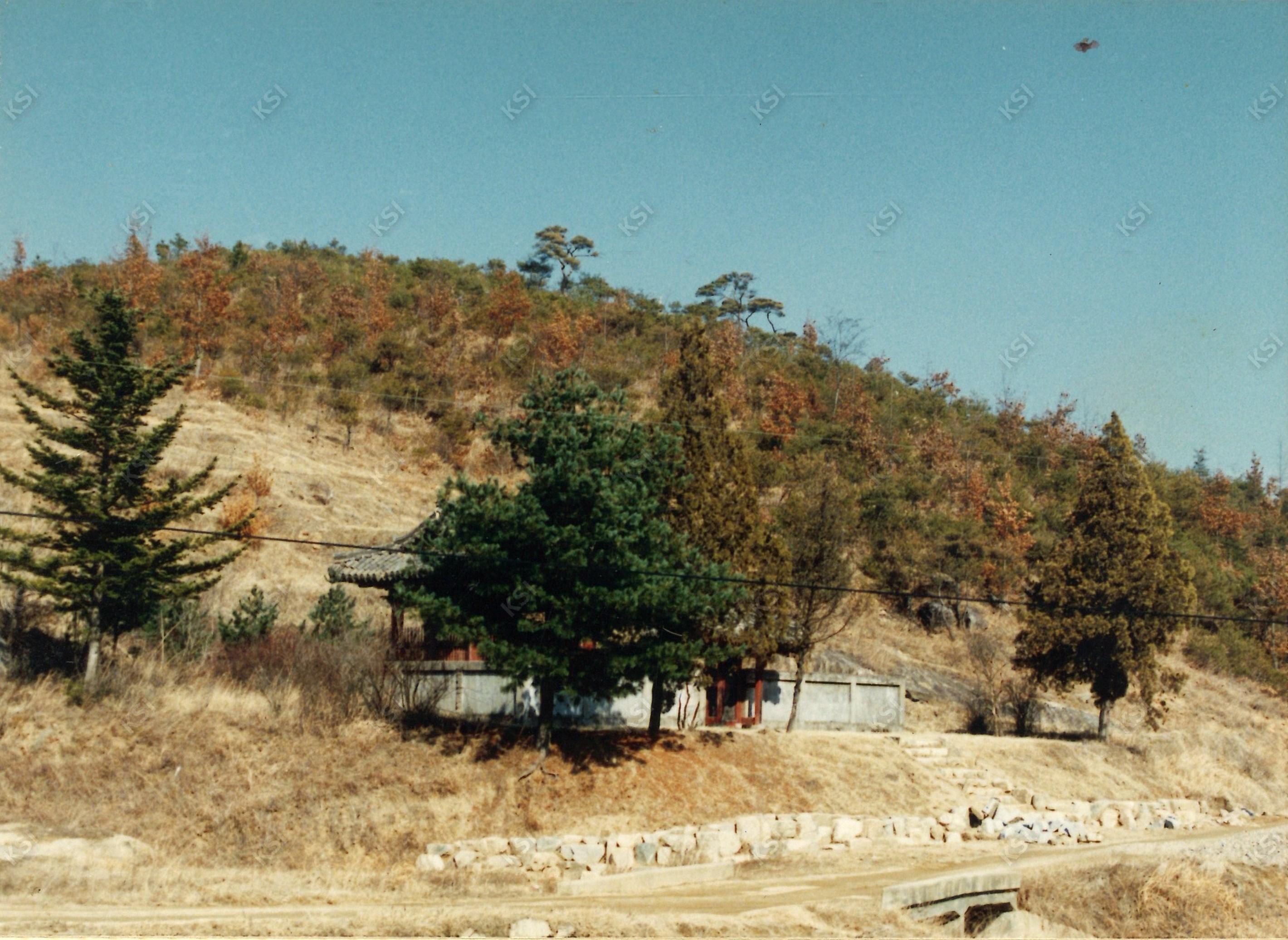 1978년경 장태사 신도비와 비각