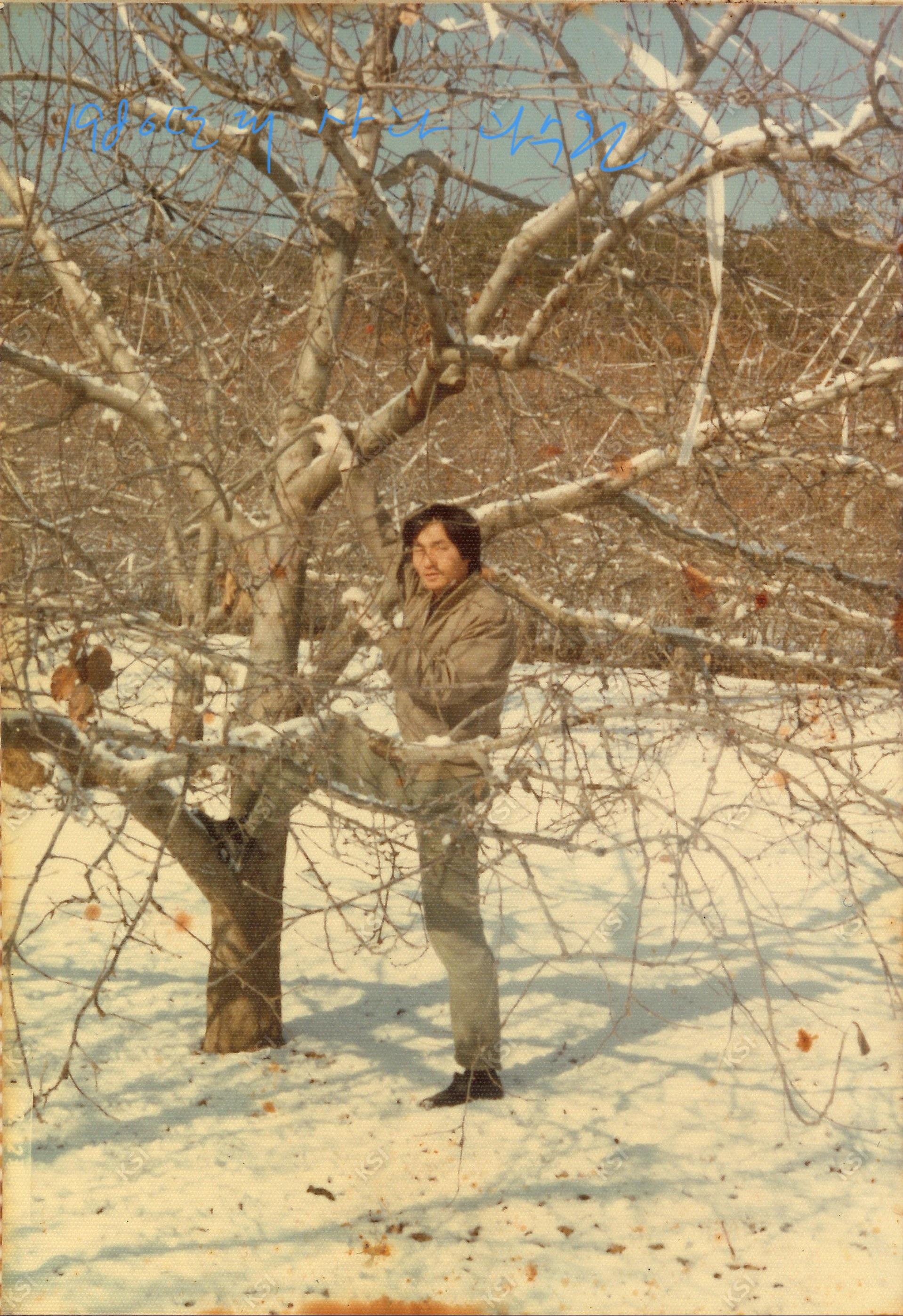 1980년대 과수원에서