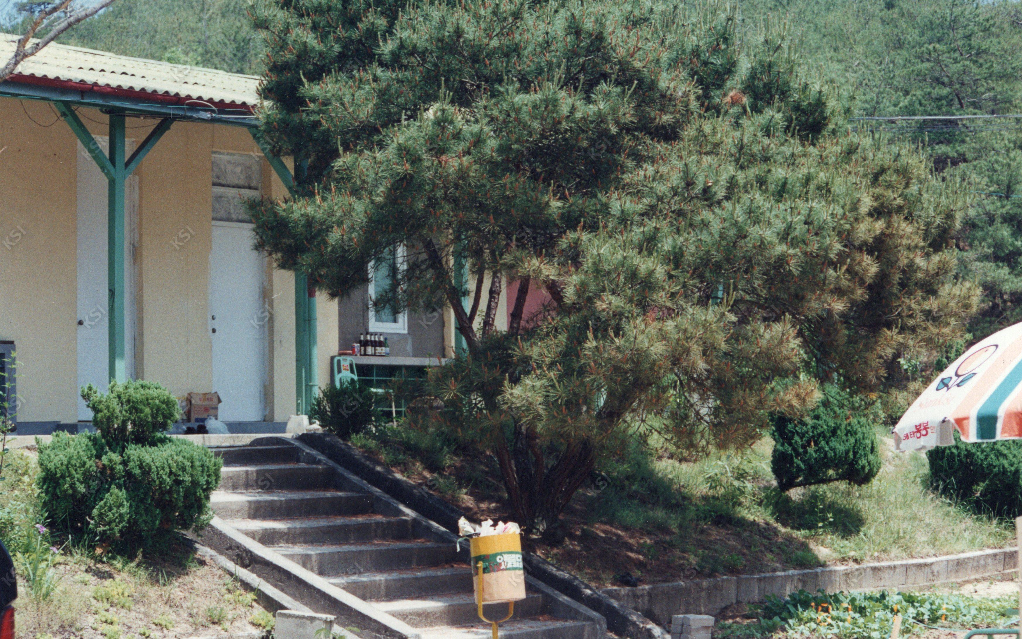 1997년 송강국민학교 본관 정면