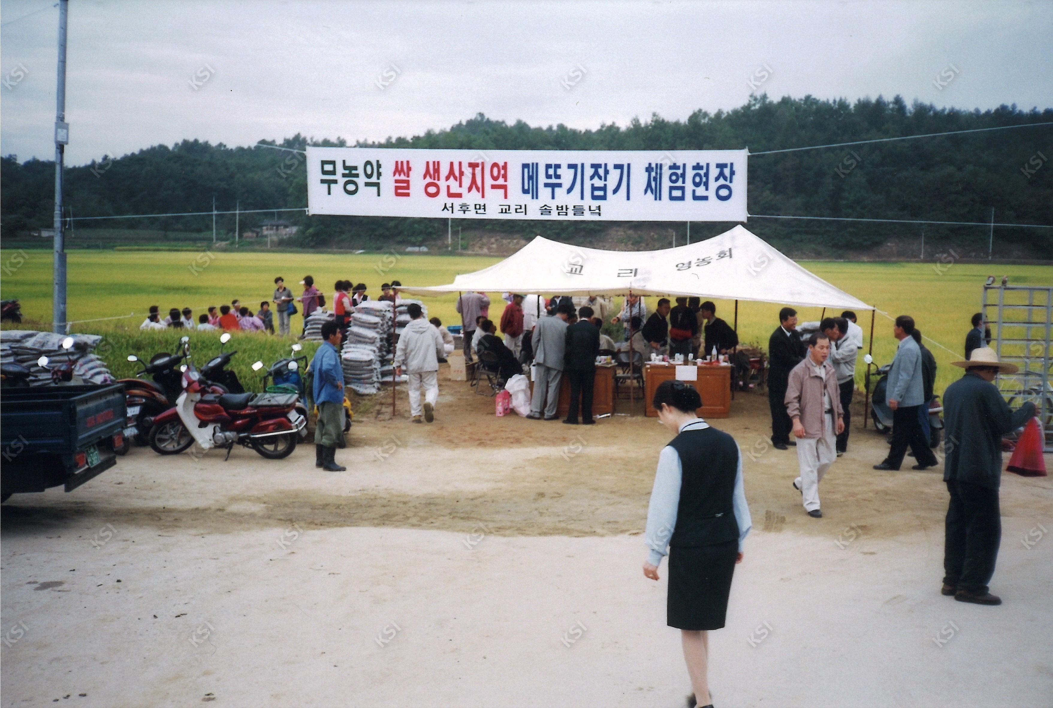 교리 메뚜기잡기 체험현장