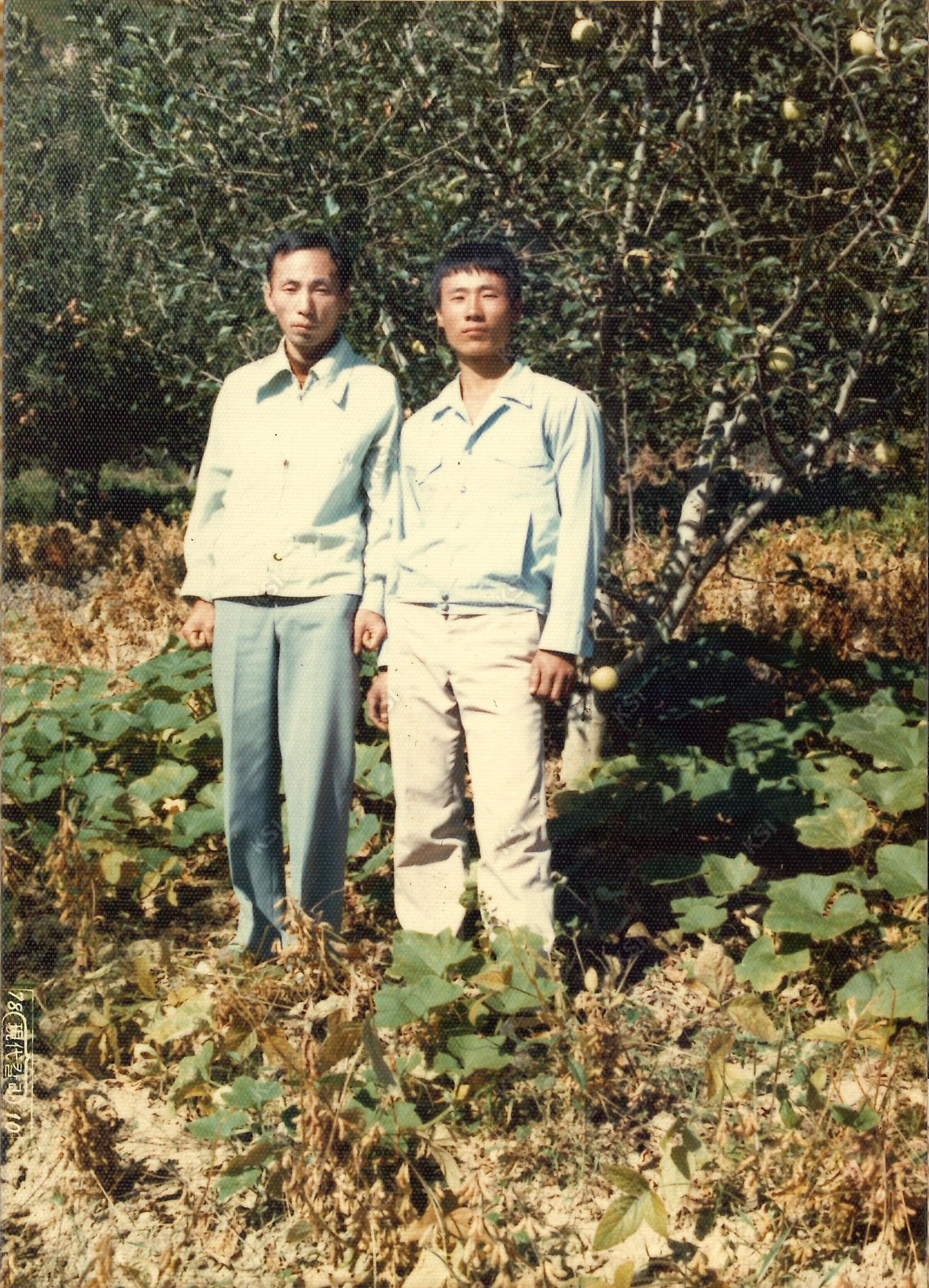 1978년 사과밭에서