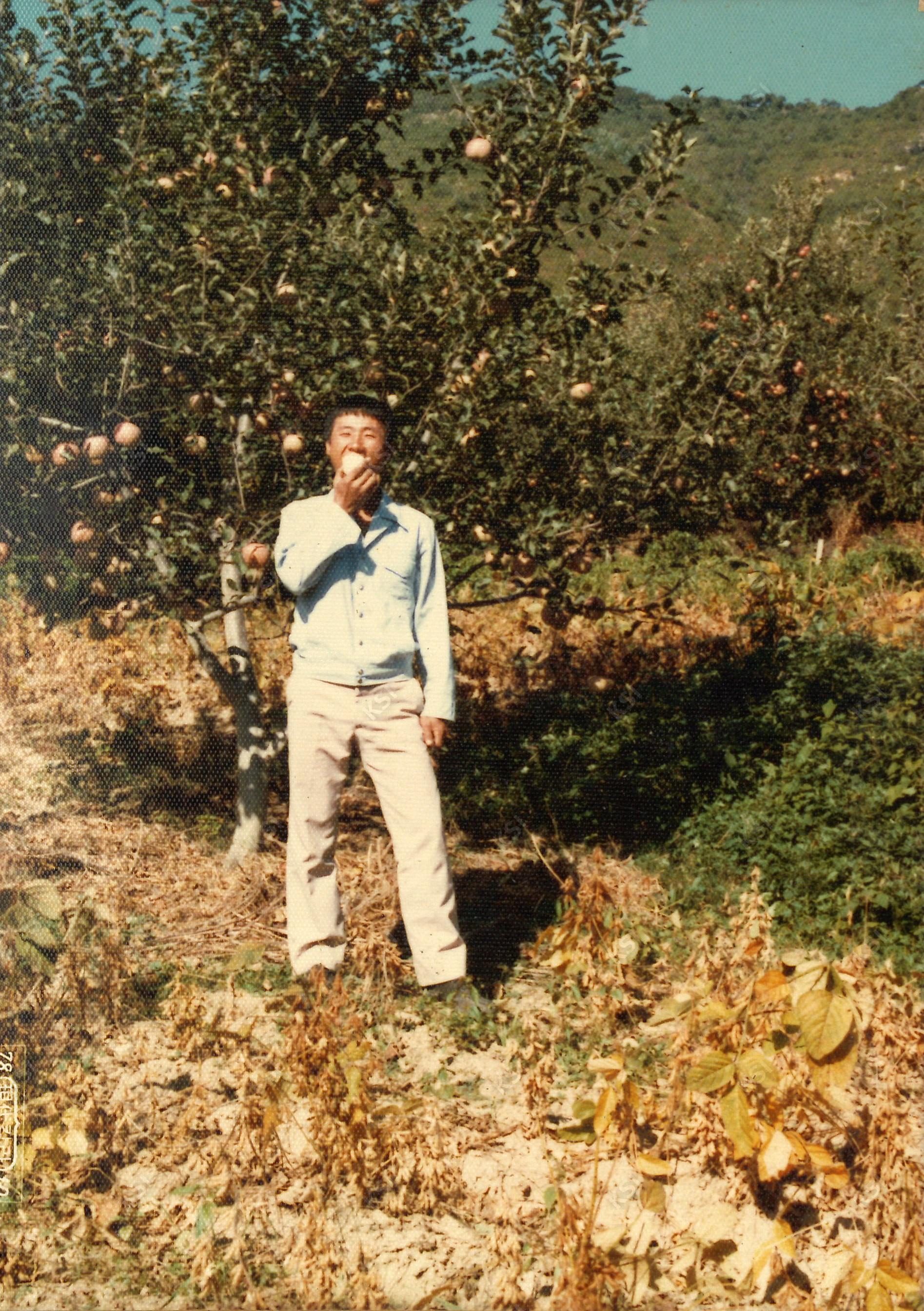 1978년 사과밭에서