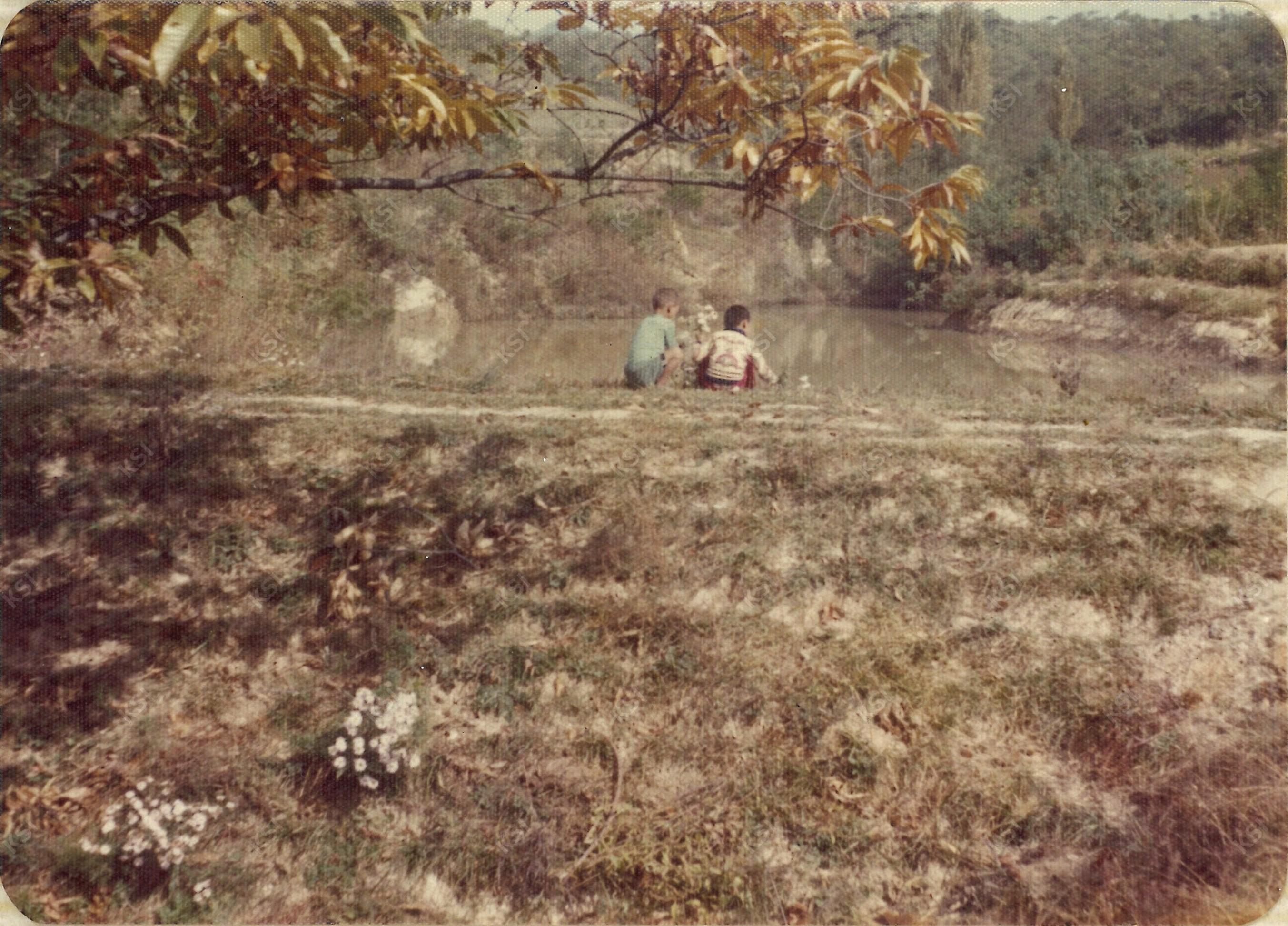 1977년 진정골 못 완성
