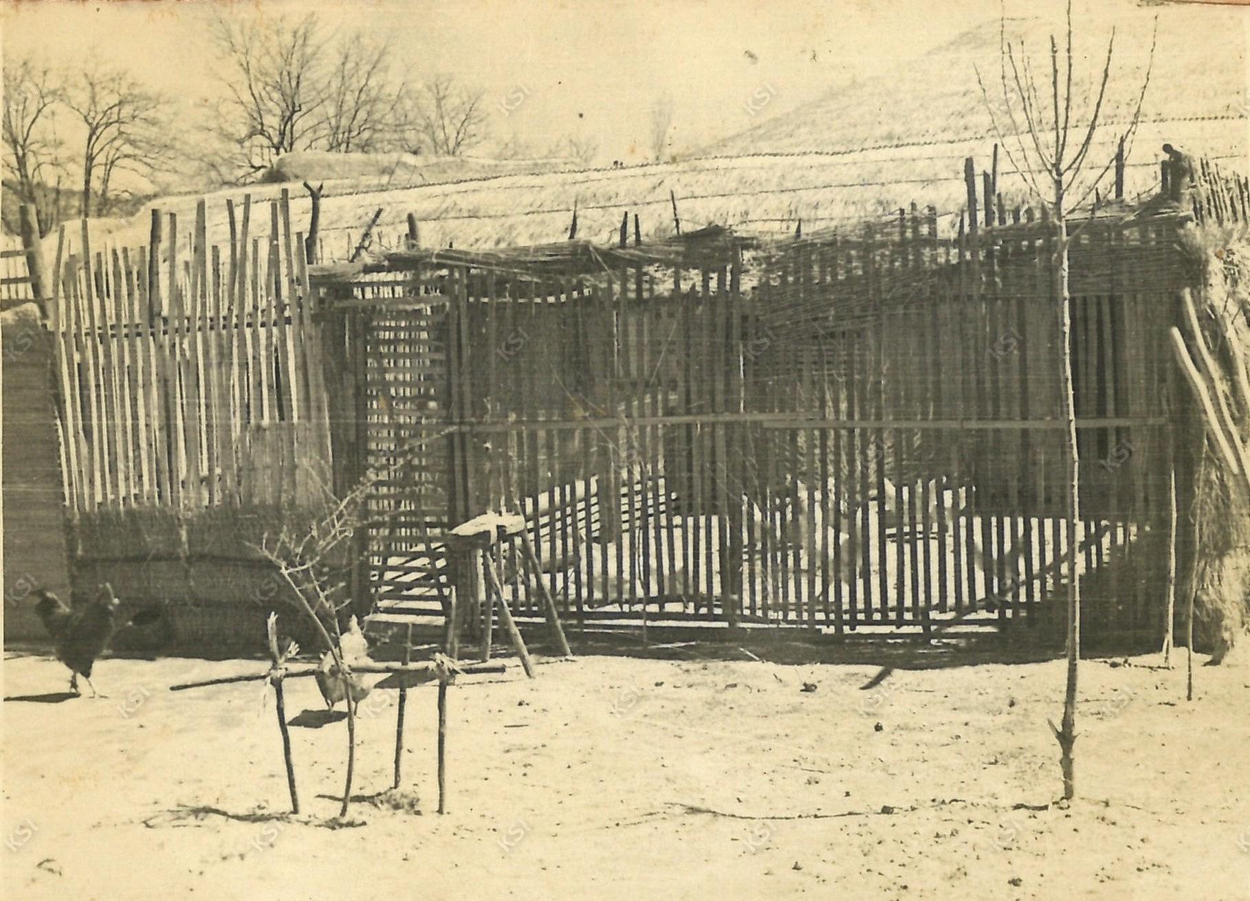 1960~1970년대 텃밭에 만든 닭집 모습