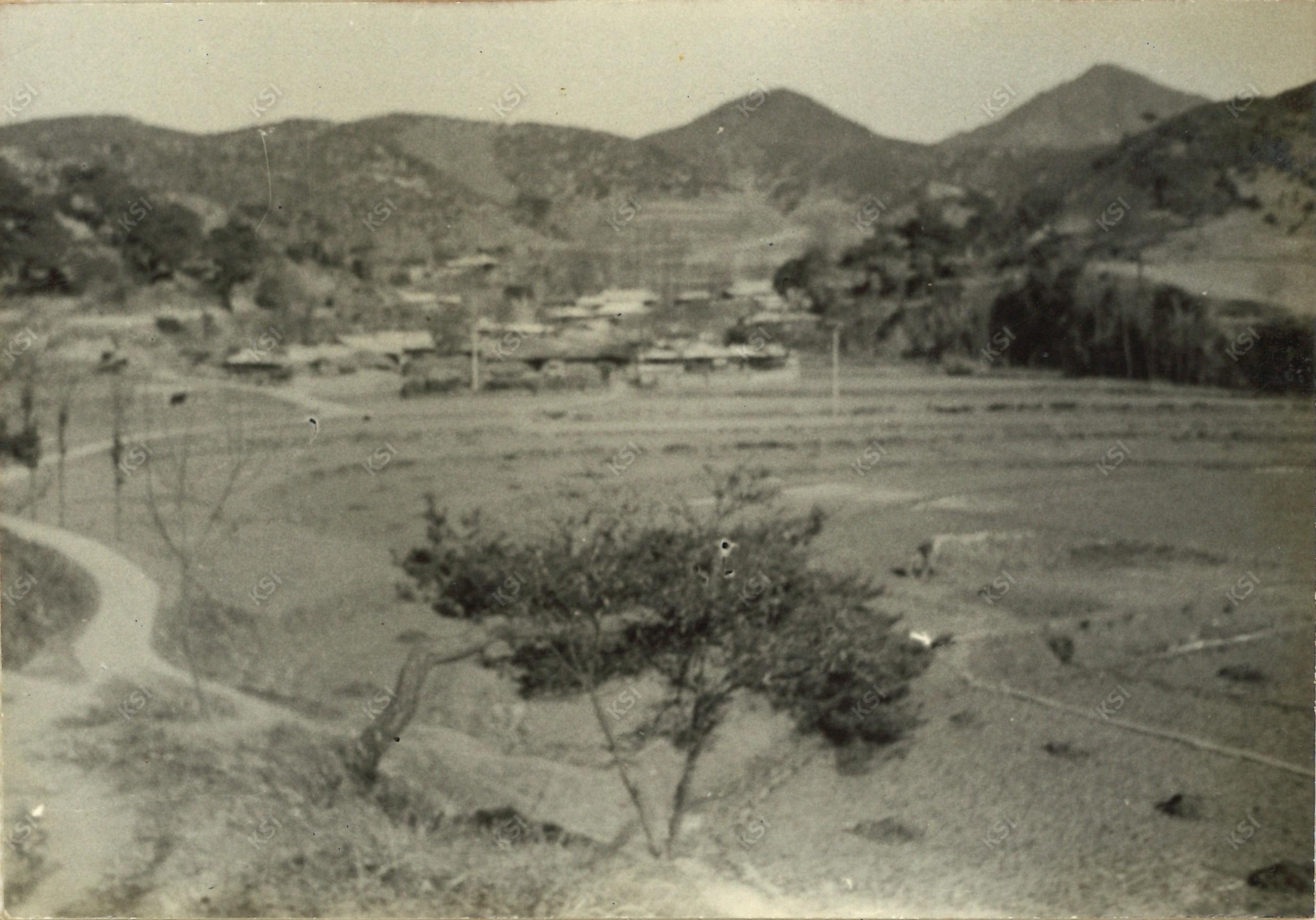 1976년 상이개 전경