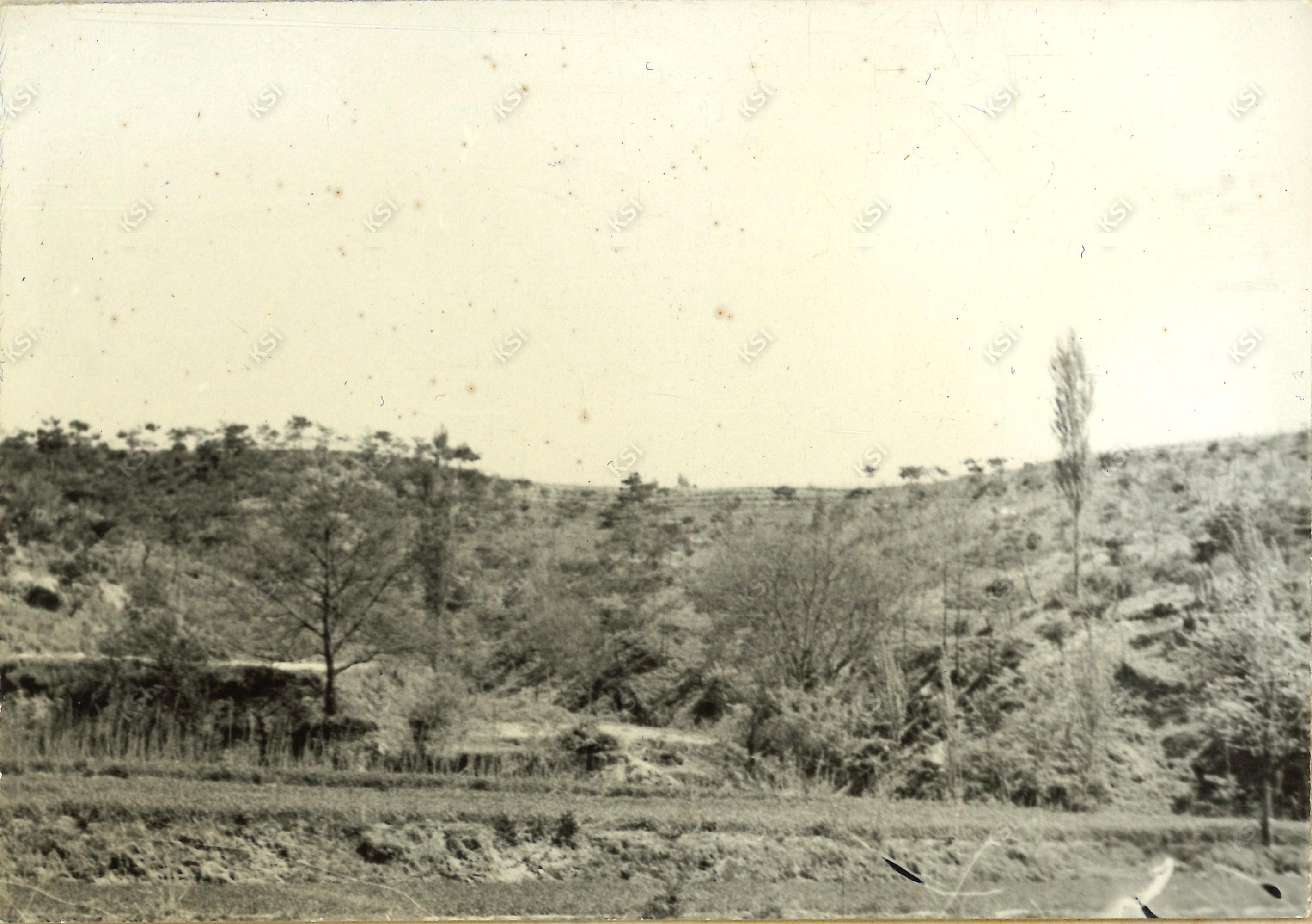 1970년대 각금산 전경