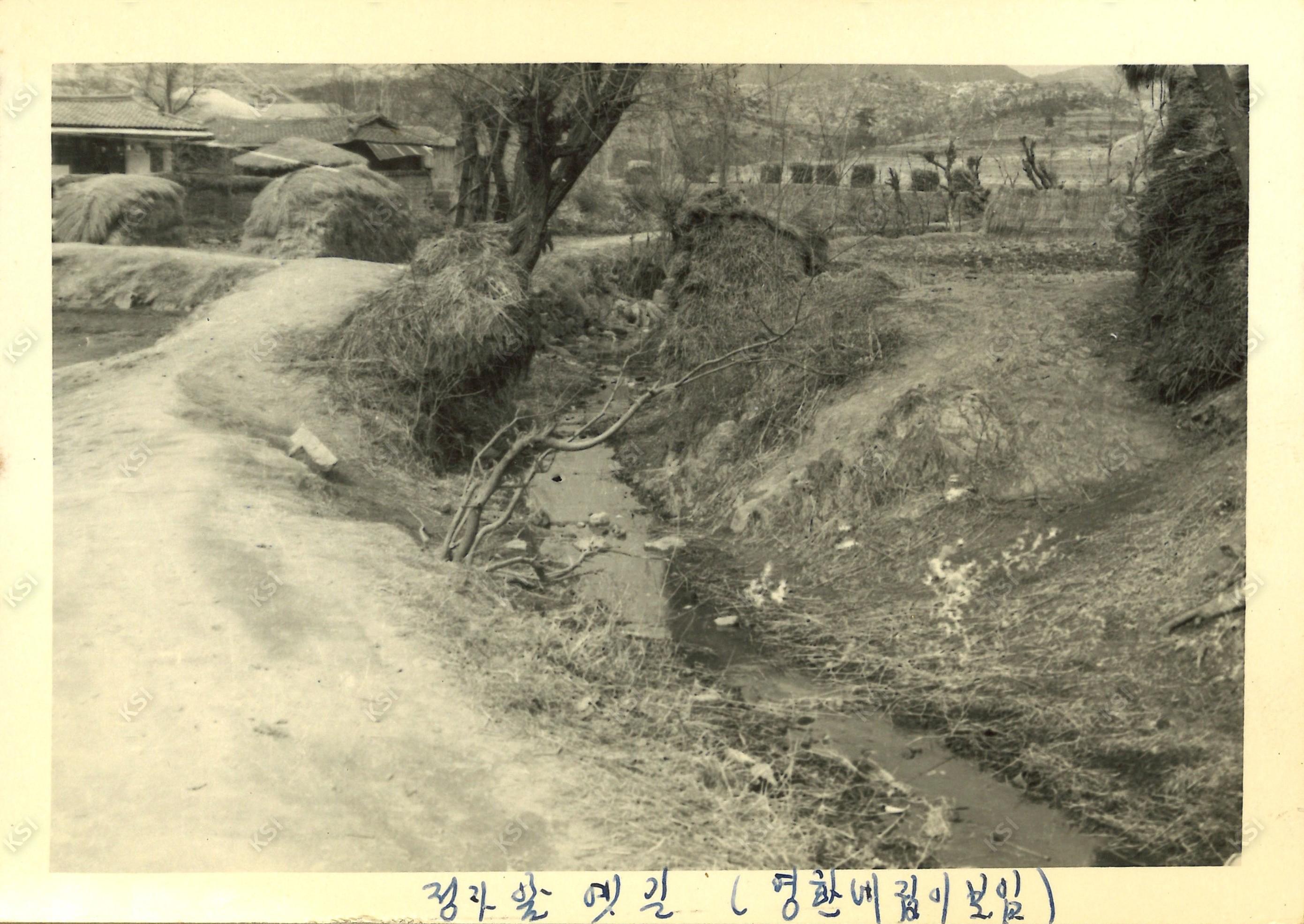 1970년대 정자 앞 옛길