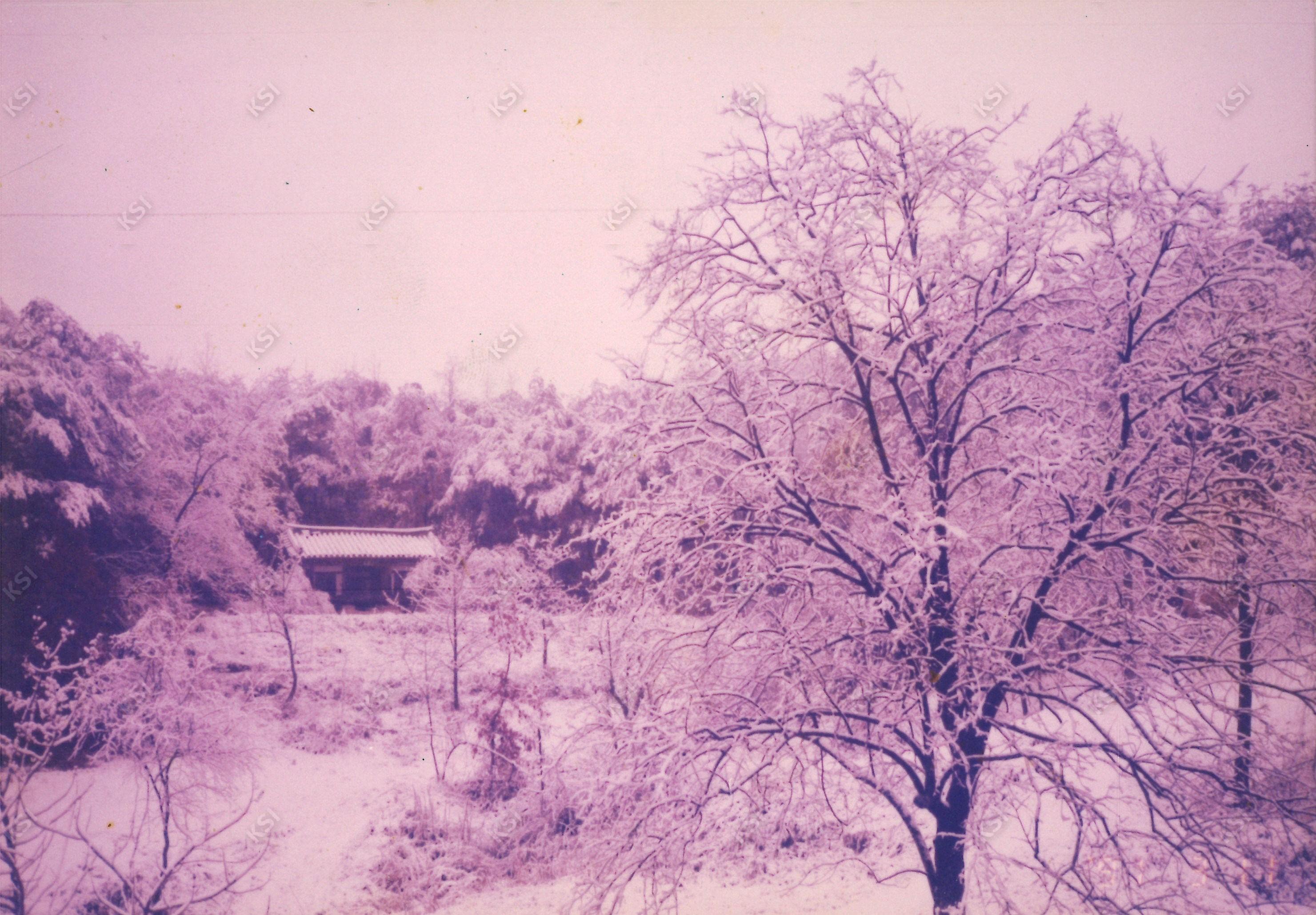 1980년대 간재정