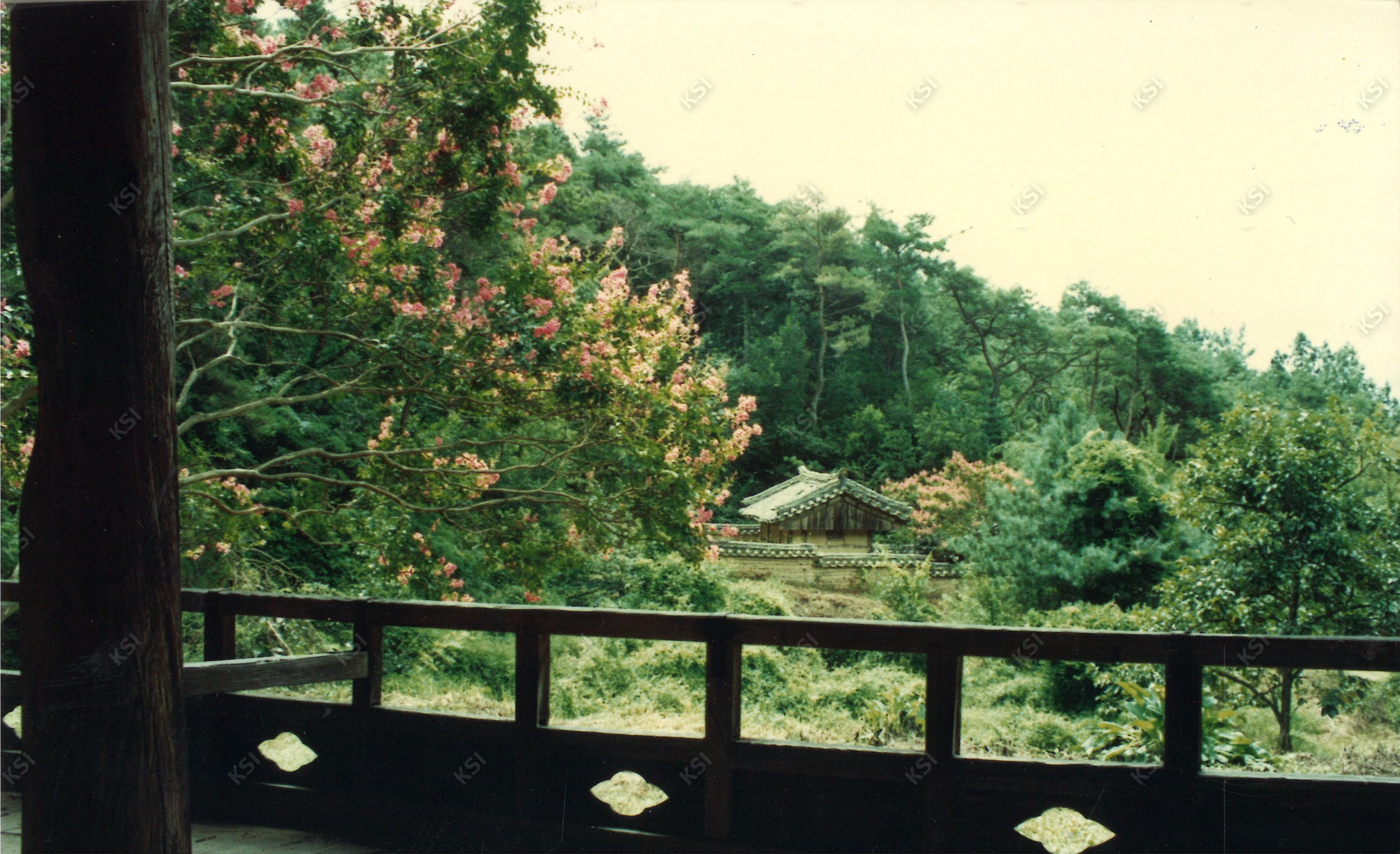 1980년대 간재정에서 바라본 사당