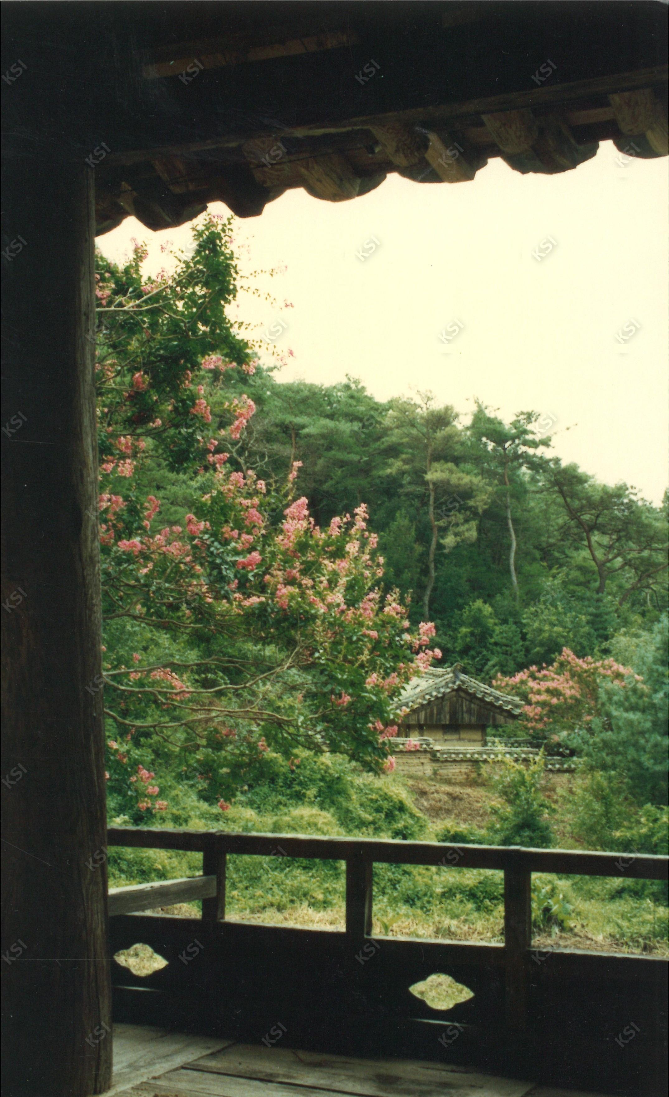 1980년대 간재정에서 바라본 사당