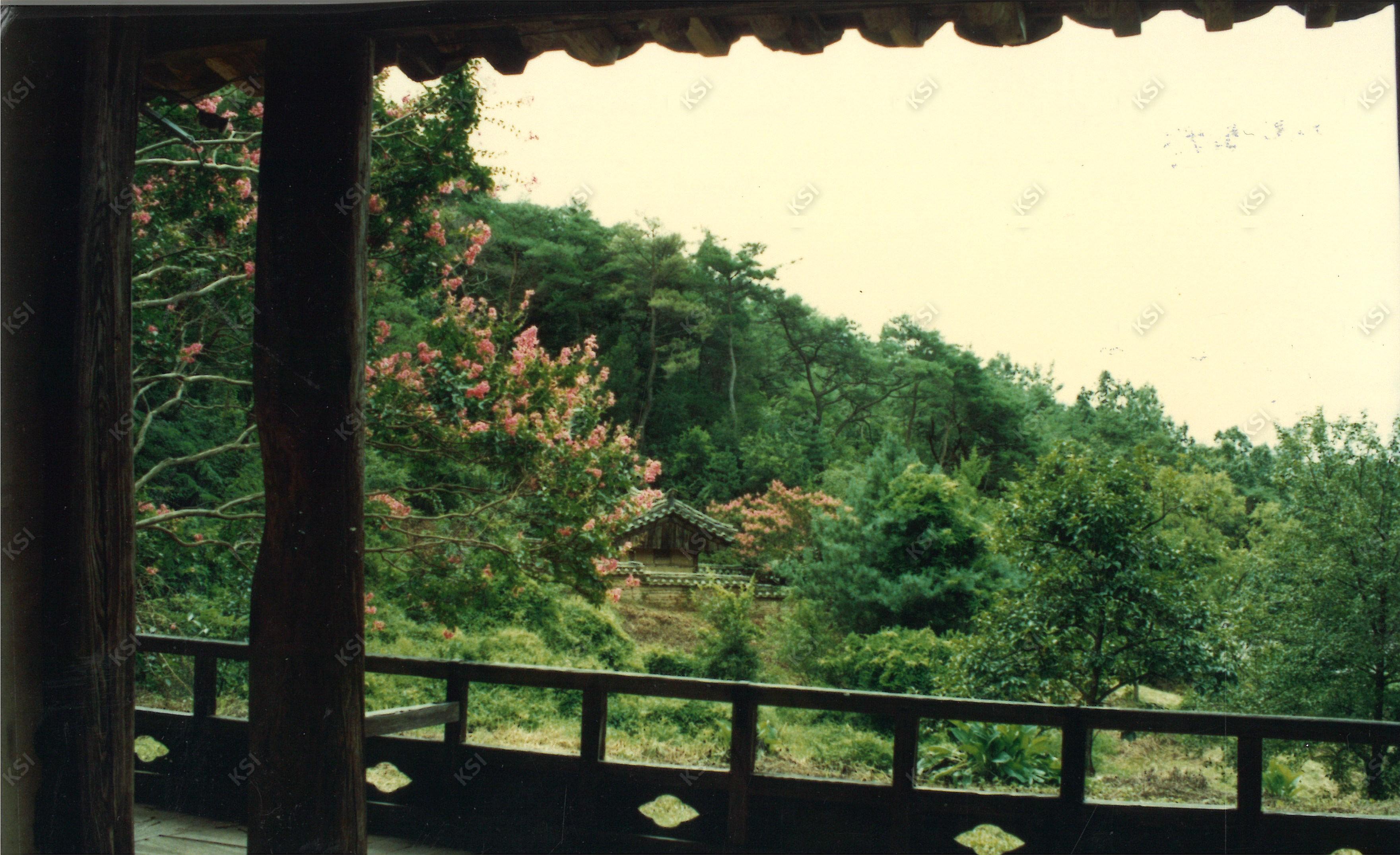 1980년대 간재정에서 바라본 사당
