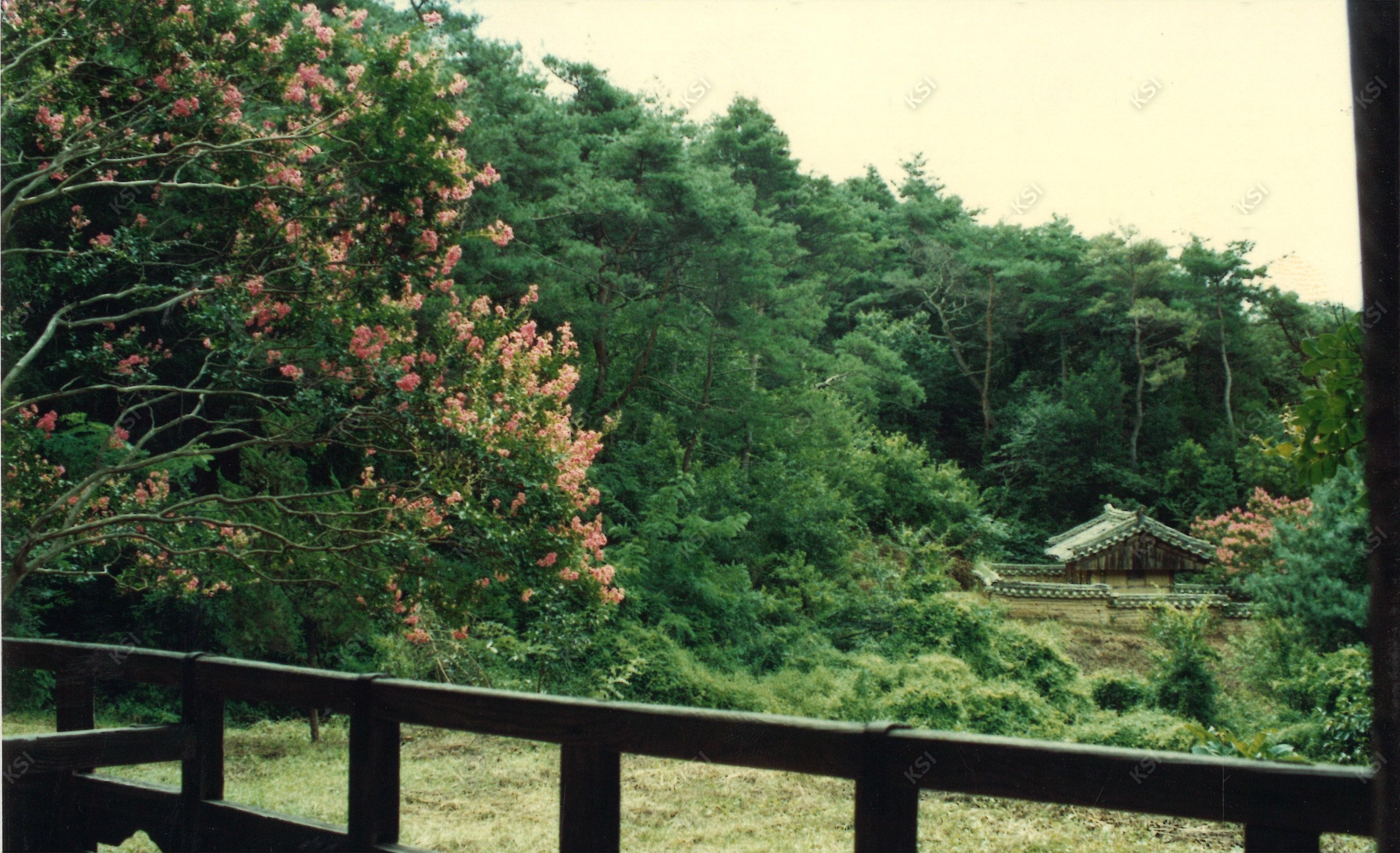 1980년대 간재정에서 바라본 사당