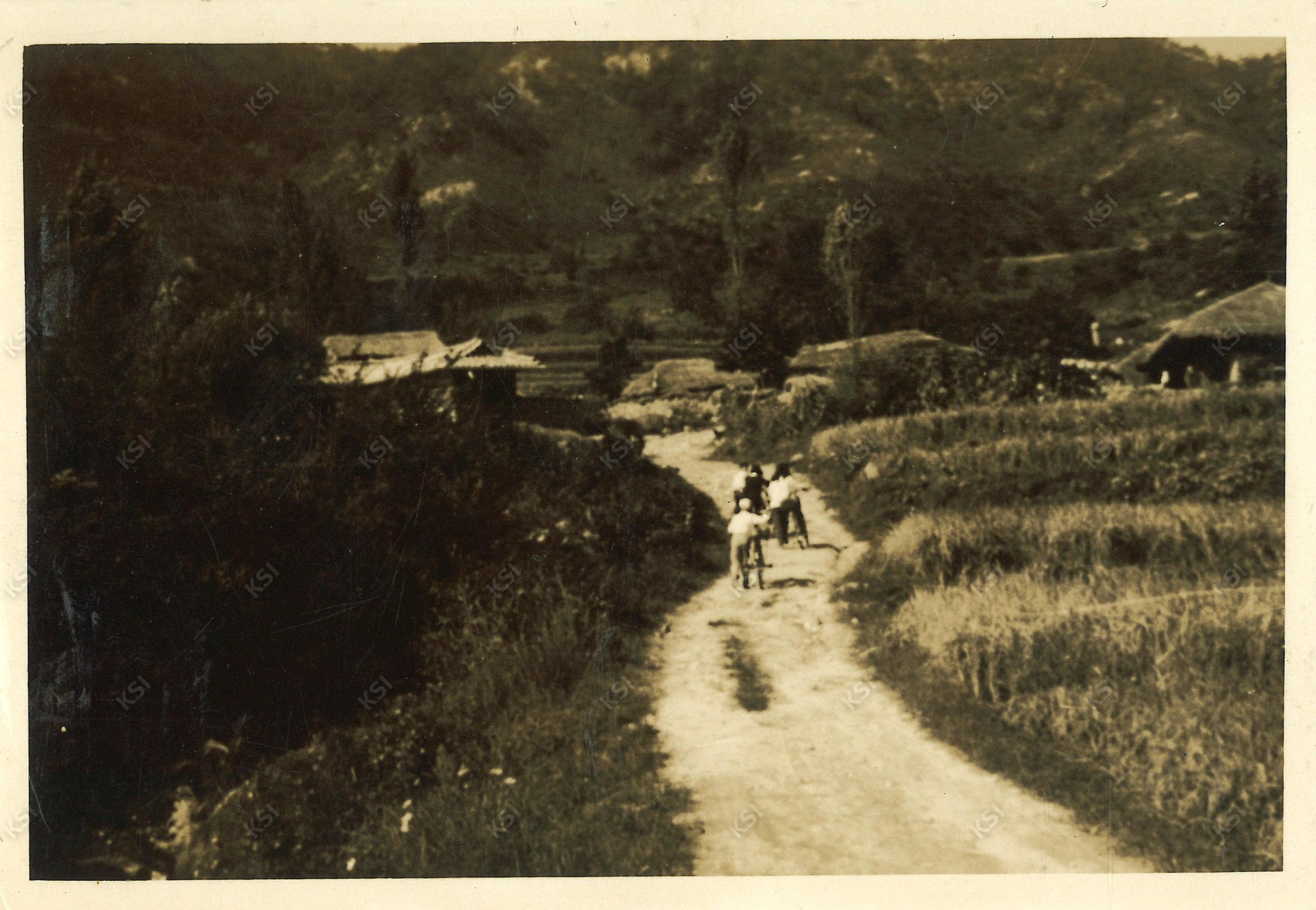 1970년대 봉정사 가는 길