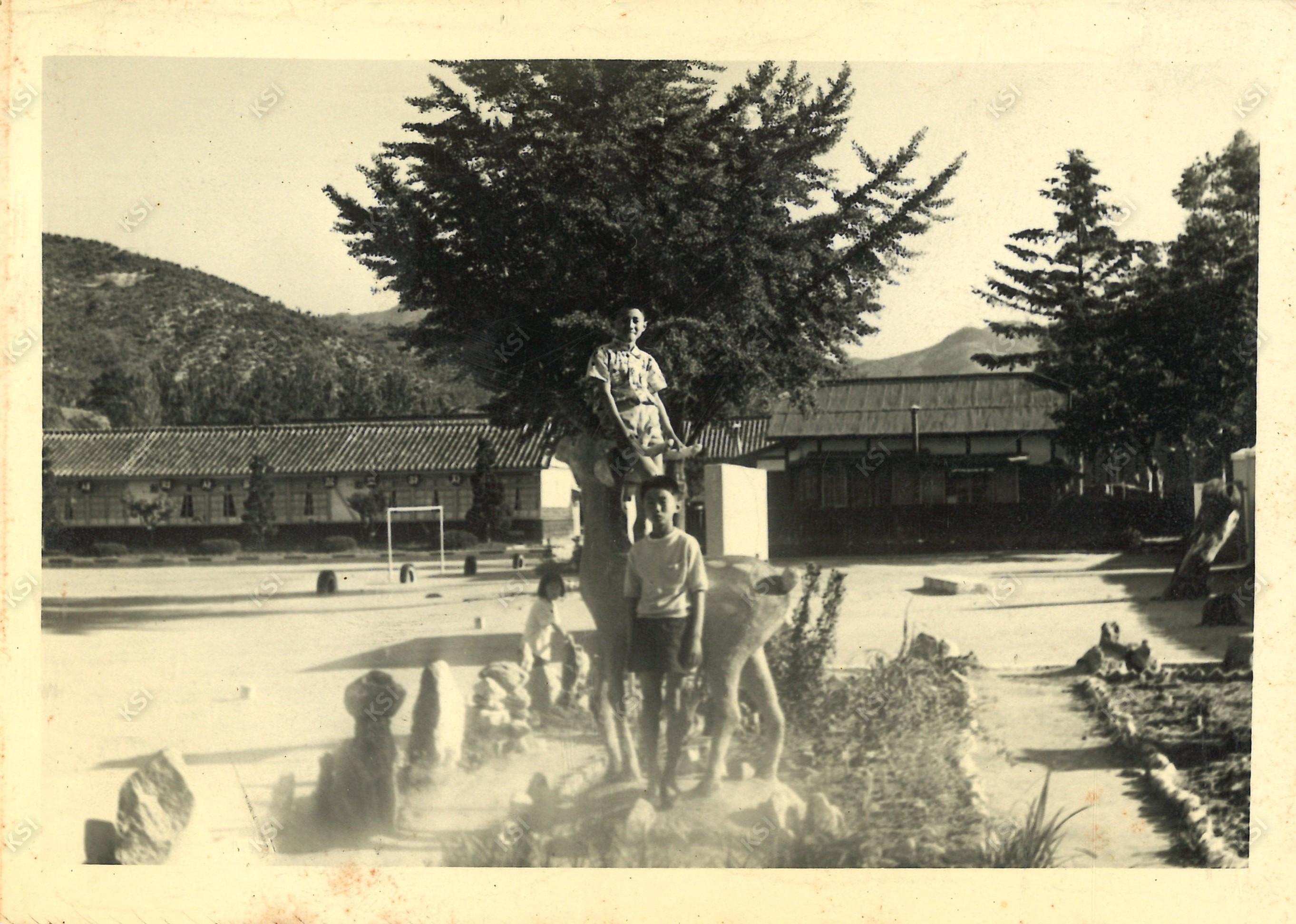 1972년 서후국민학교