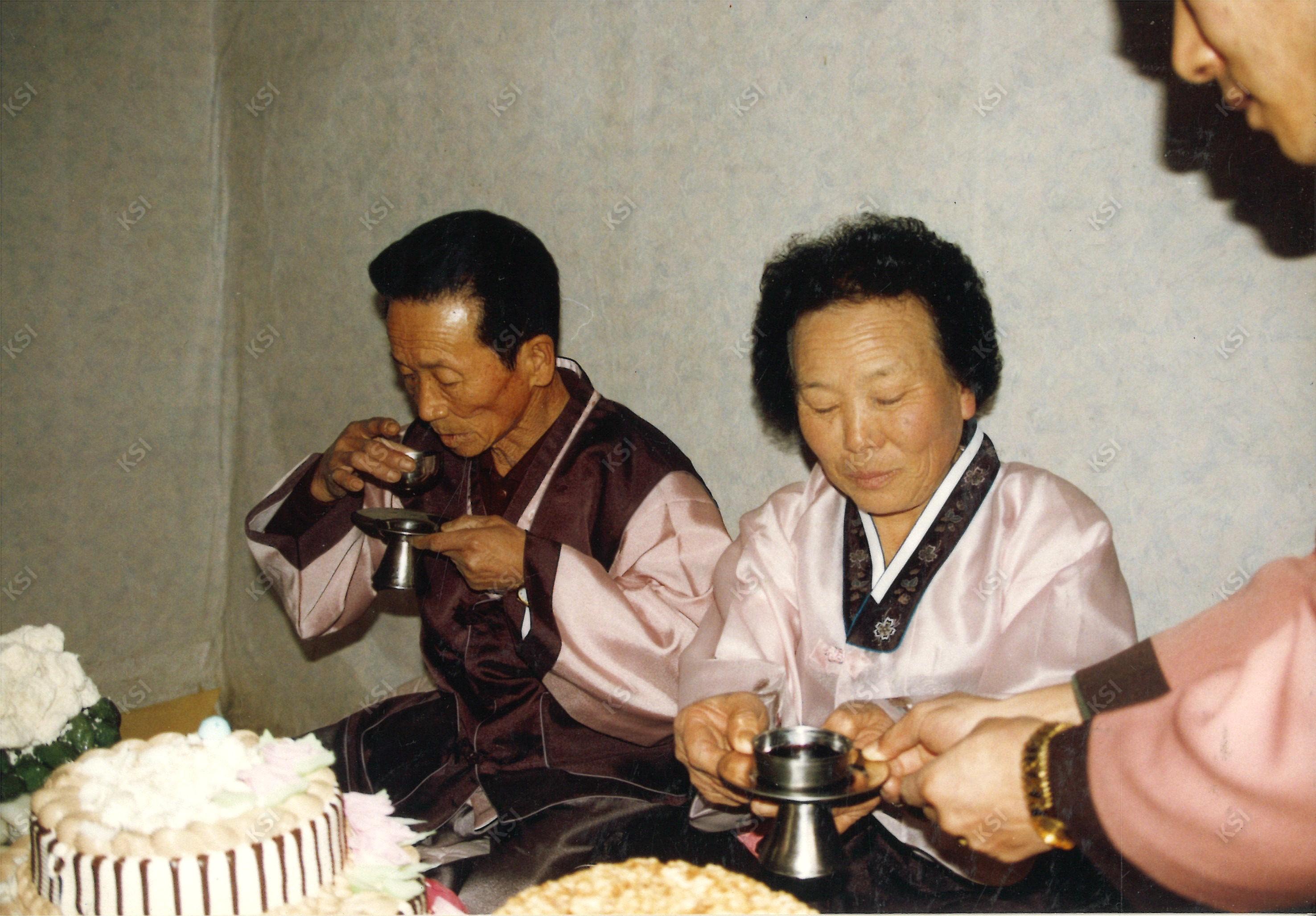 1995년 부부합동 환갑잔치